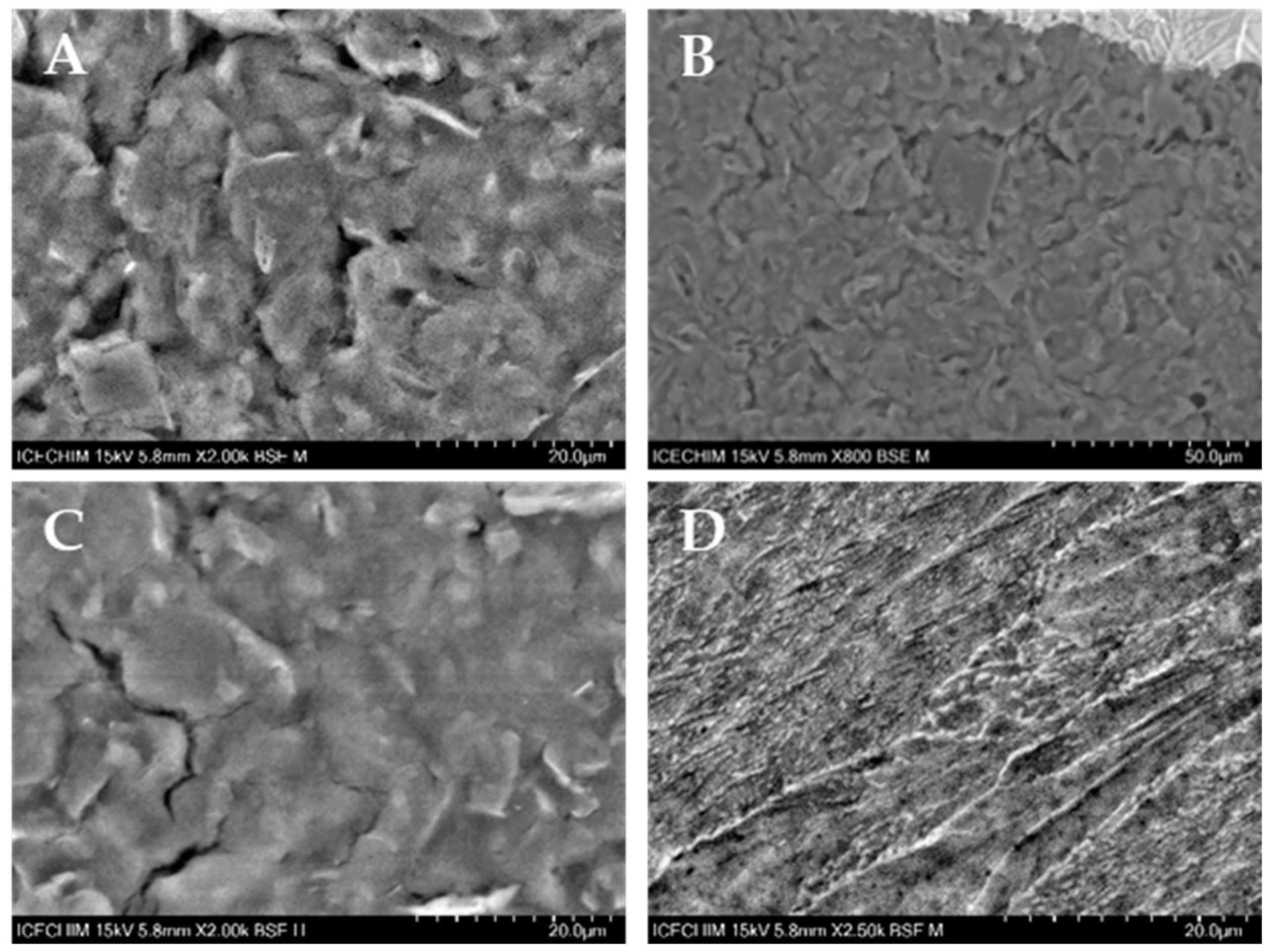 Chemproc 13 00002 g002
