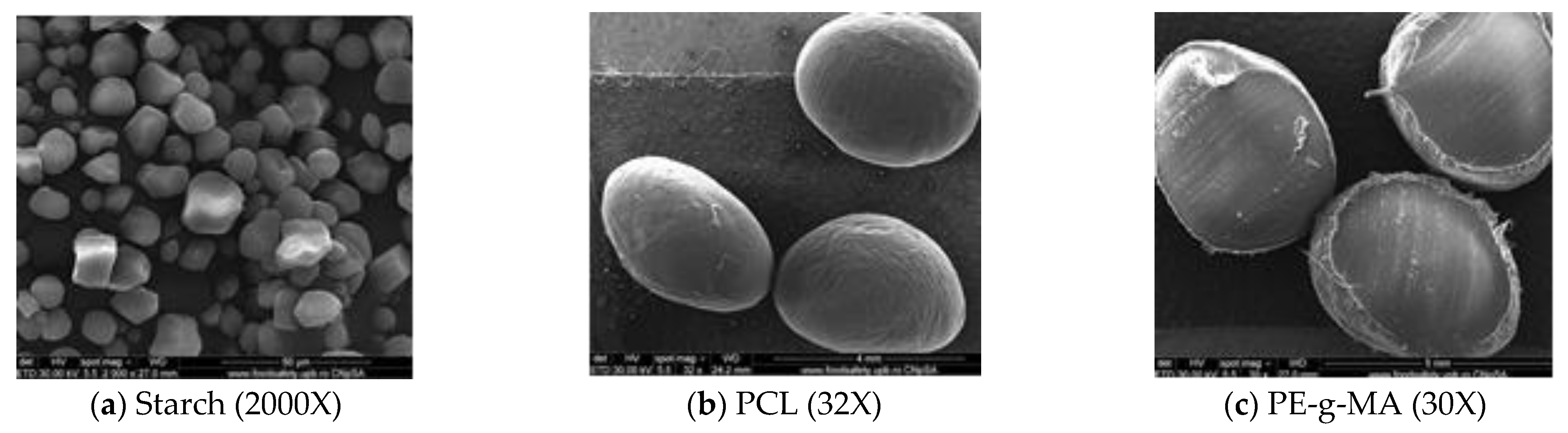 Chemproc 13 00004 g006