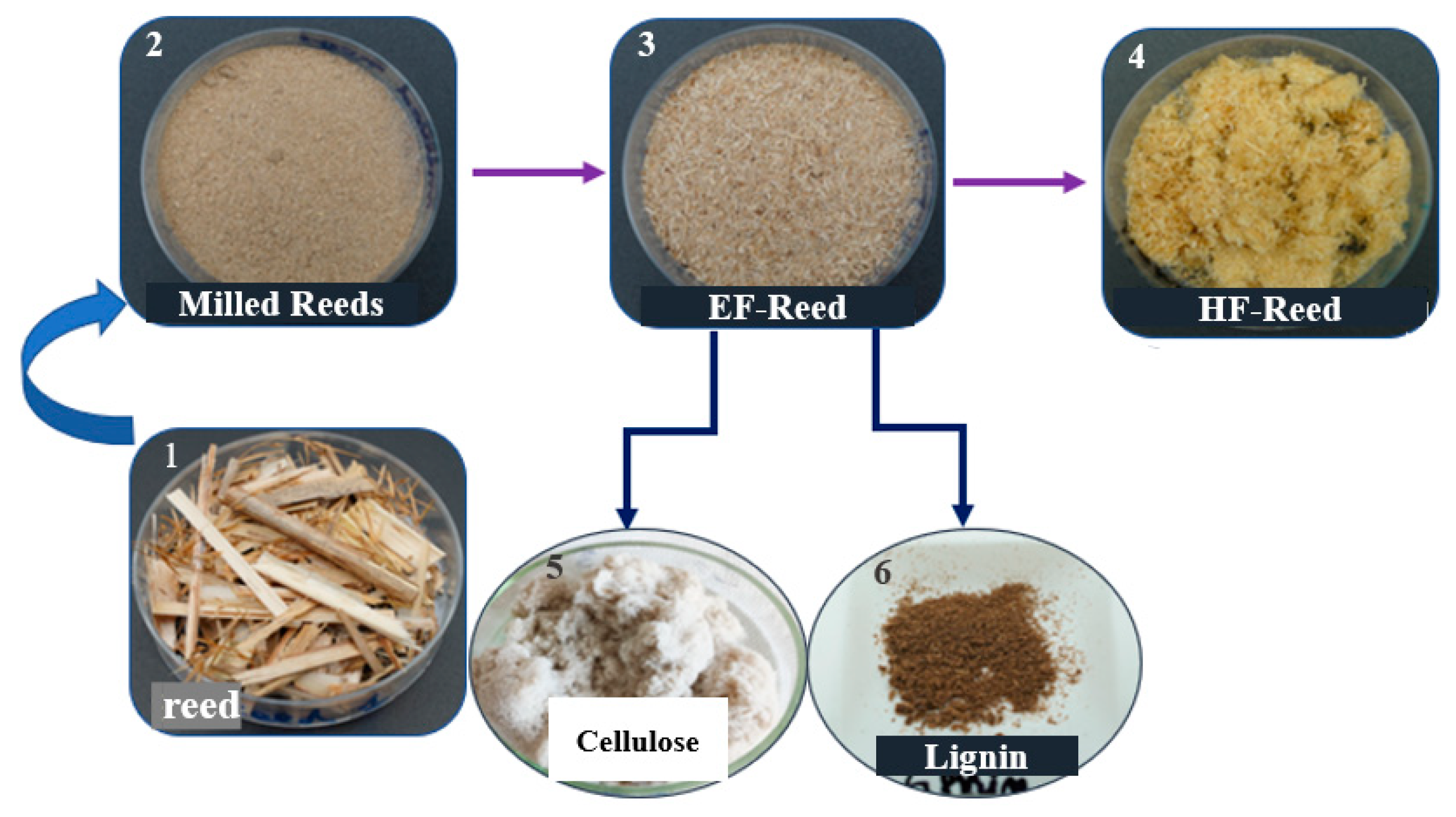 Chemproc 13 00009 g001