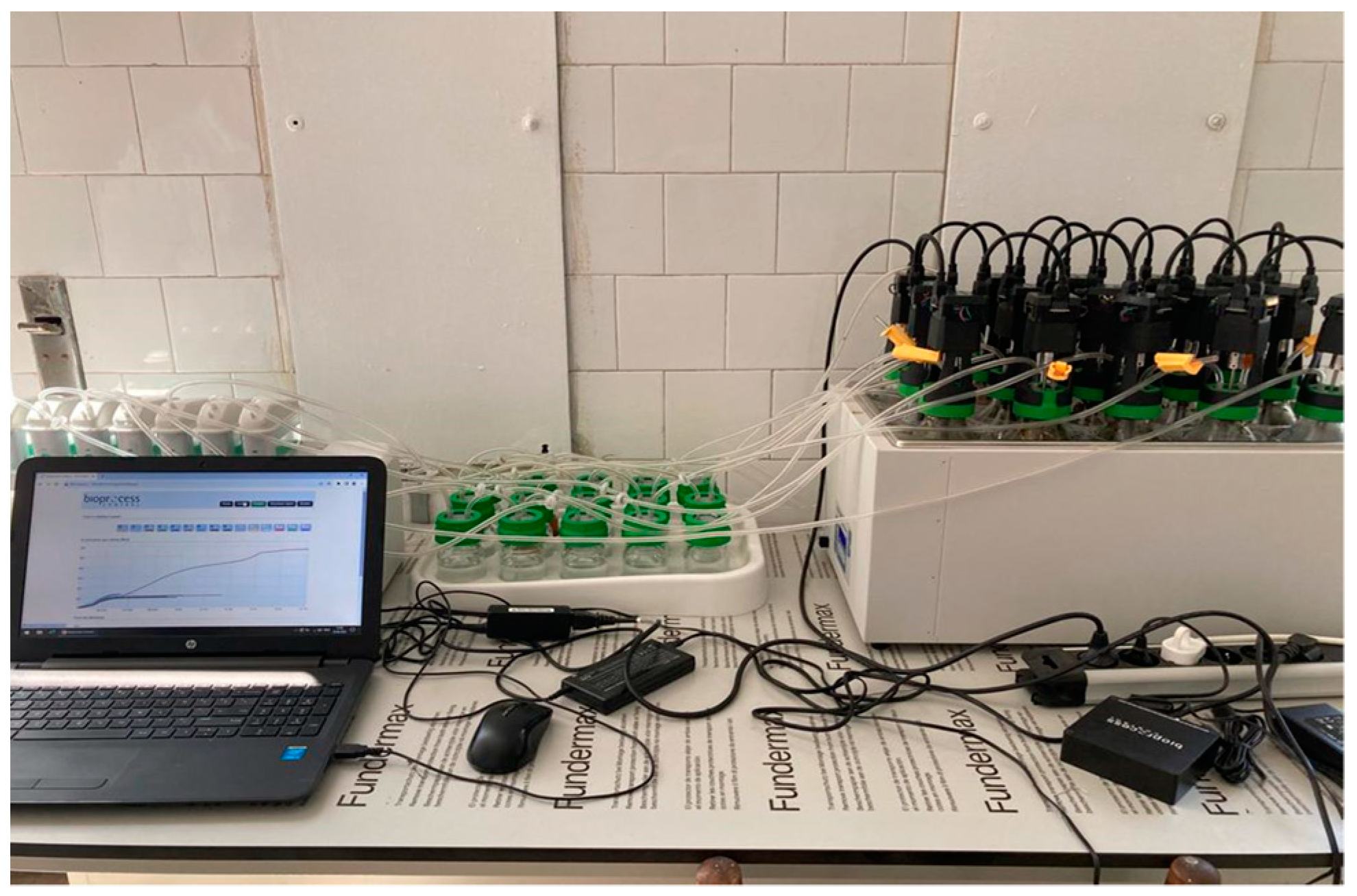 Chemproc 13 00017 g001