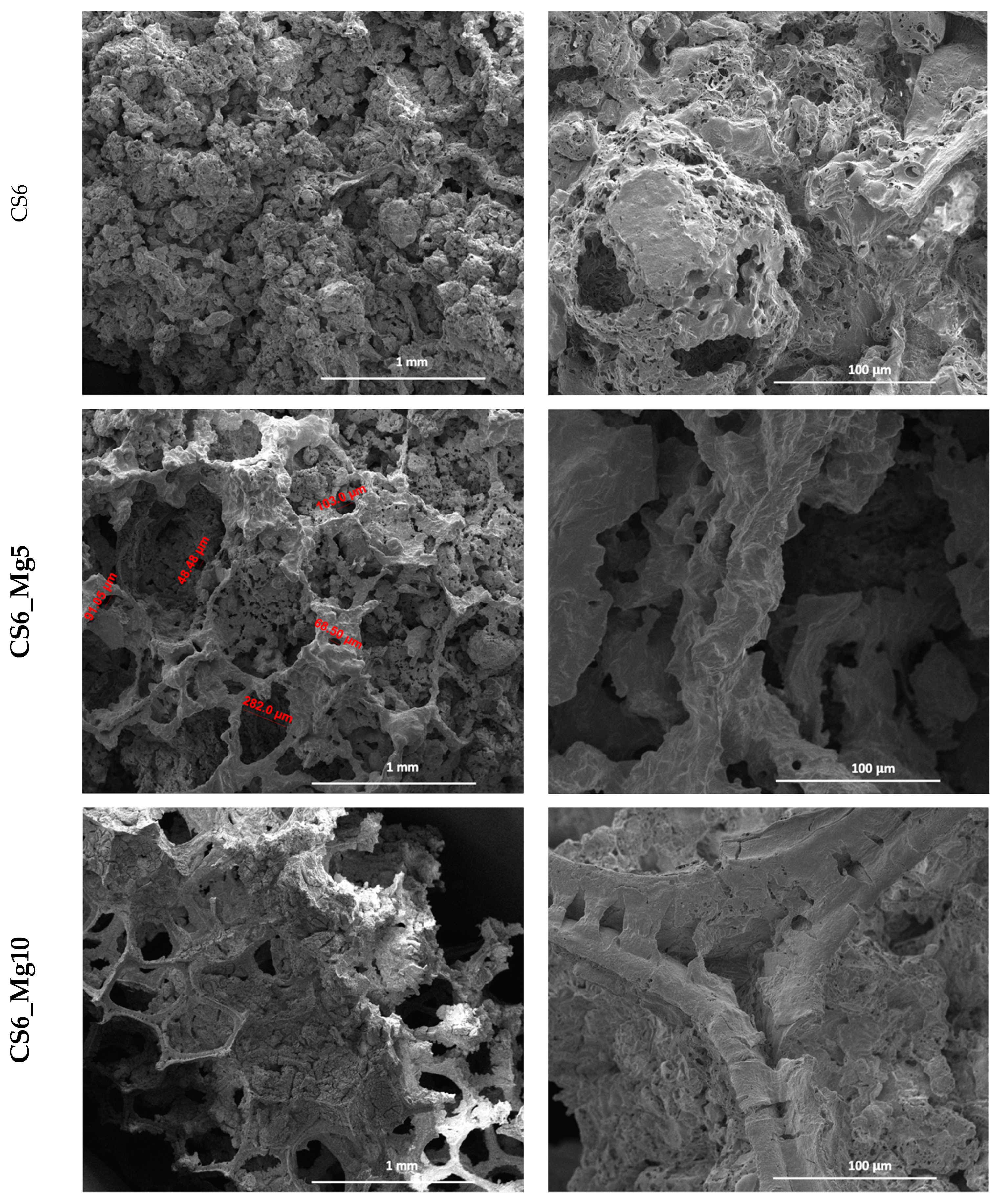 Chemproc 13 00018 g002