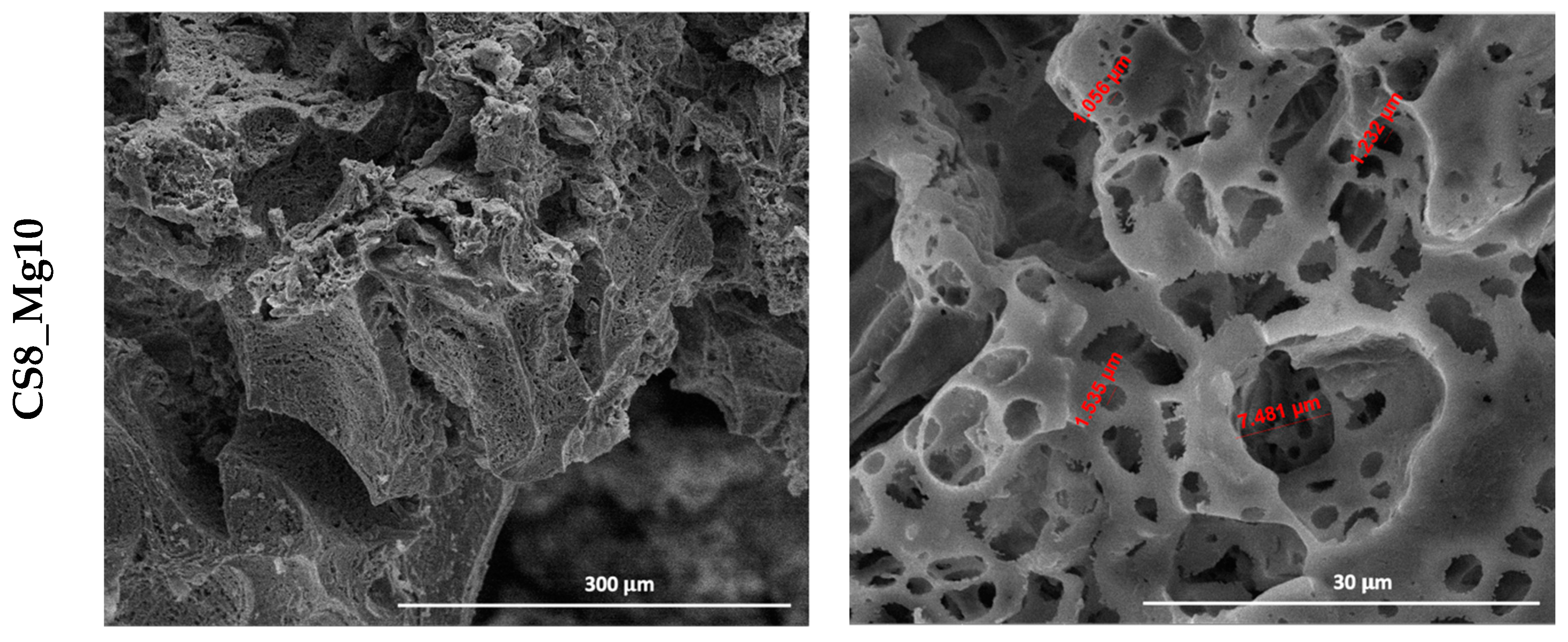 Chemproc 13 00018 g003b