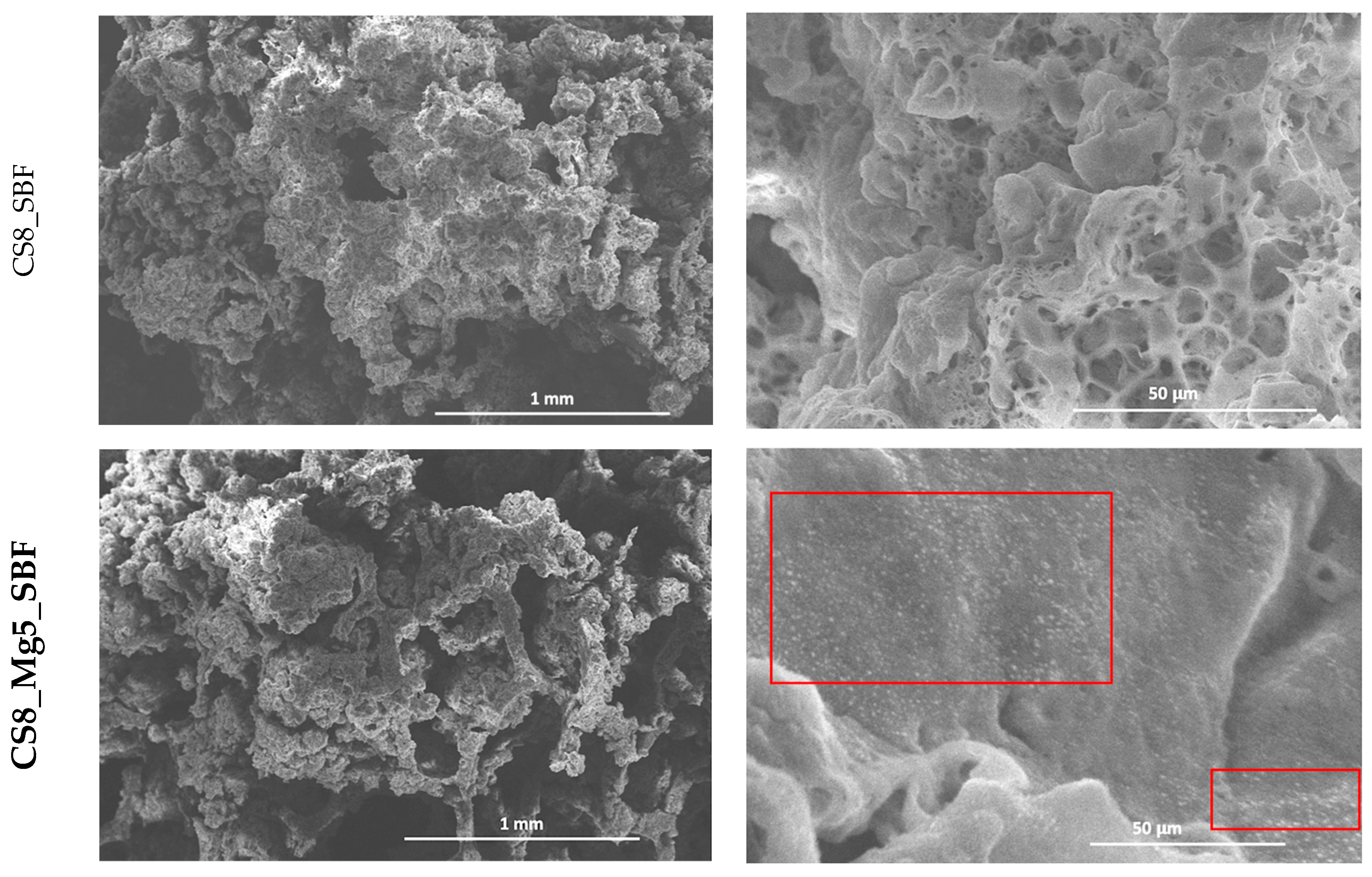 Chemproc 13 00018 g004a