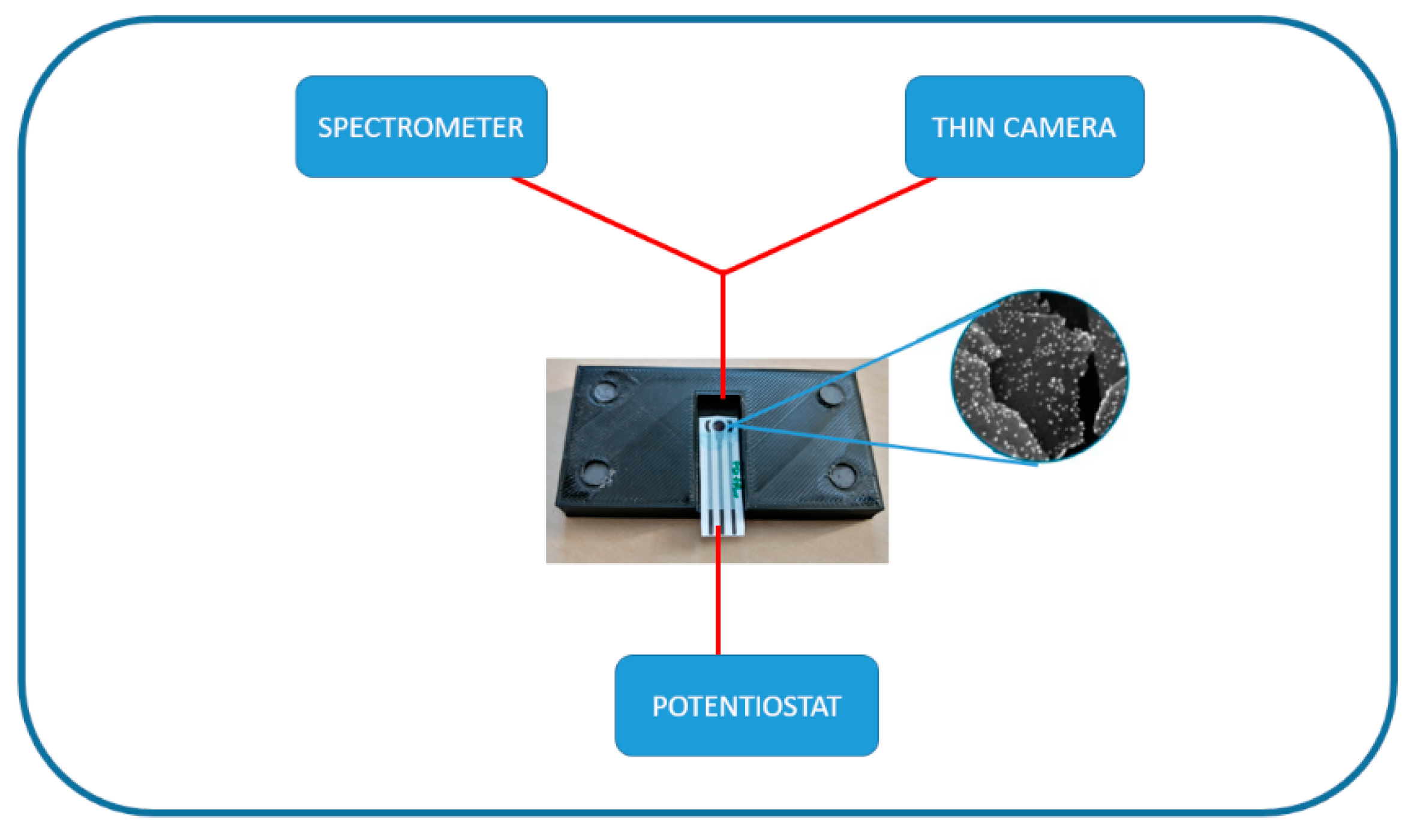 Chemproc 13 00024 g001