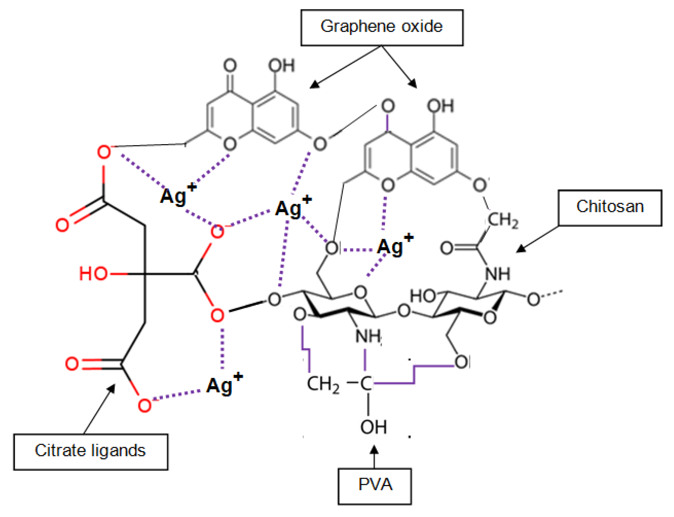 Chemproc 14 00026 g004