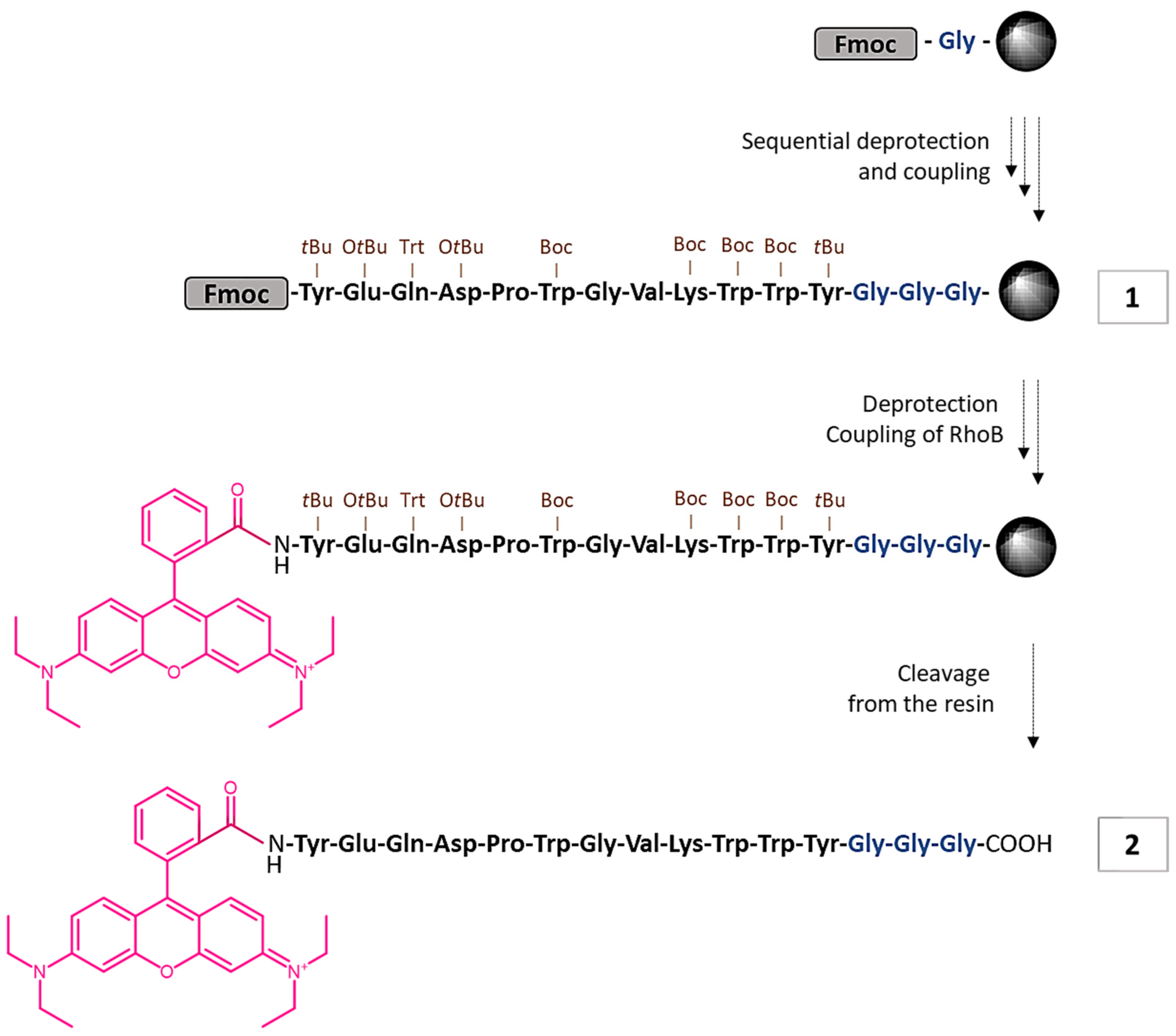 Chemproc 14 00063 sch001 Chemproc 14 00063 sch001