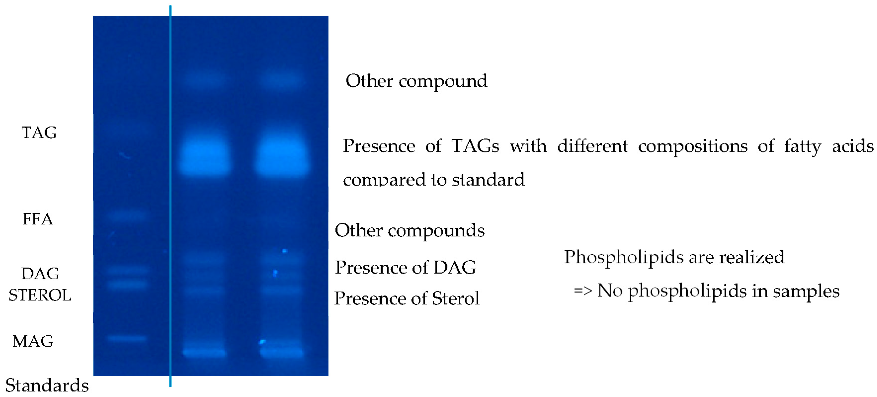 Chemproc 14 00078 g003