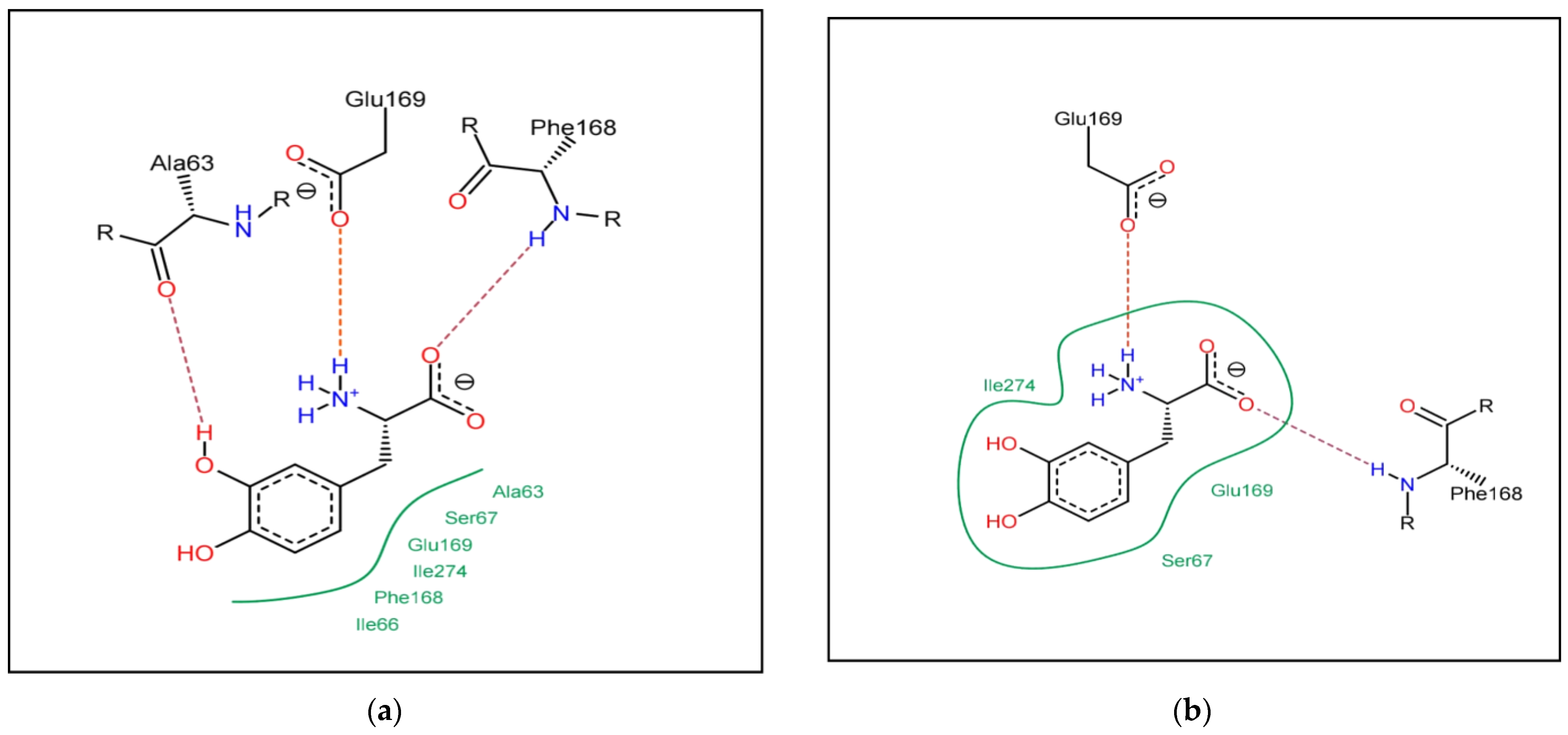Chemproc 14 00084 g002a