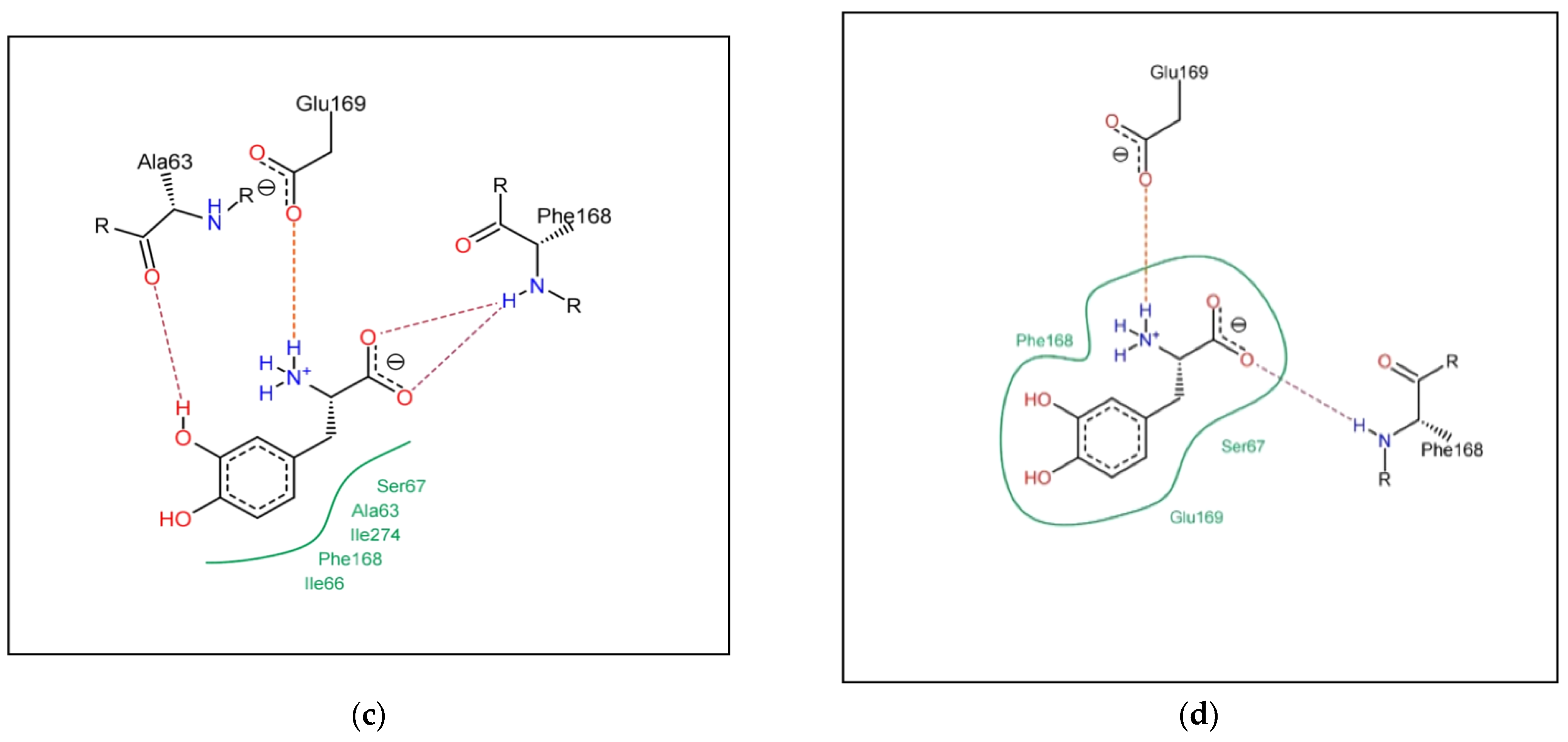 Chemproc 14 00084 g002b