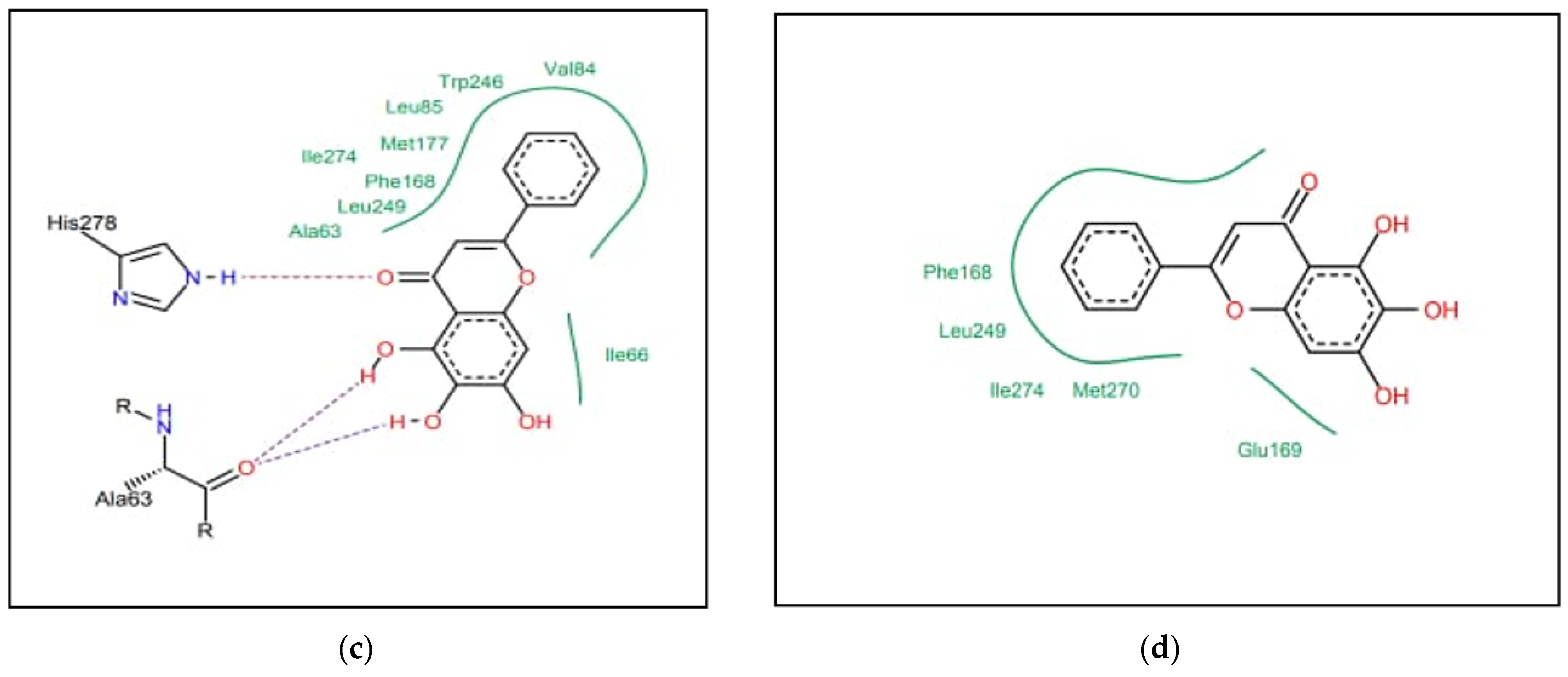 Chemproc 14 00084 g003b