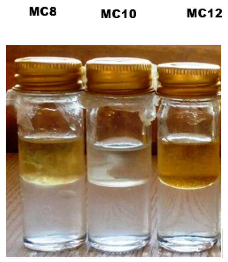 Chemproc 14 00098 g008