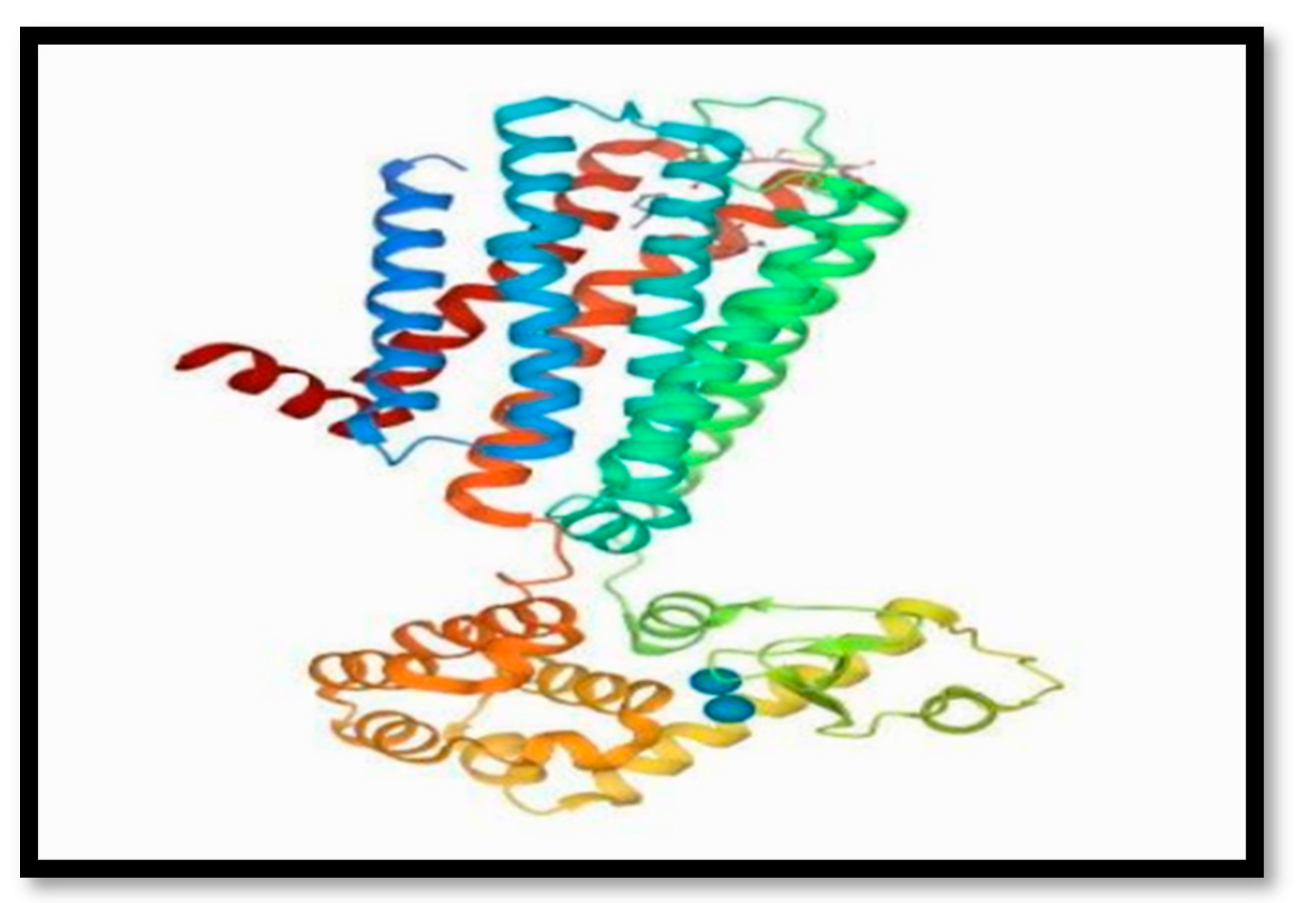 Chemproc 14 00101 g001 Chemproc 14 00101 g001