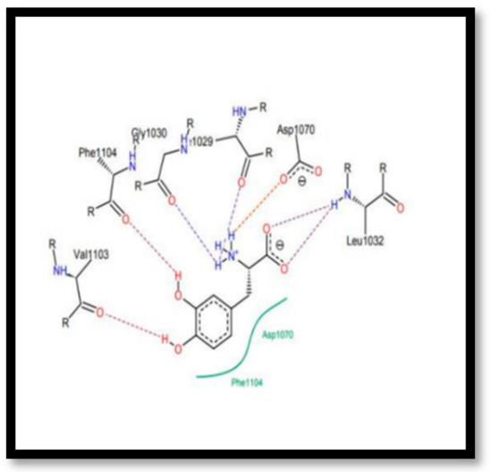 Chemproc 14 00101 g003