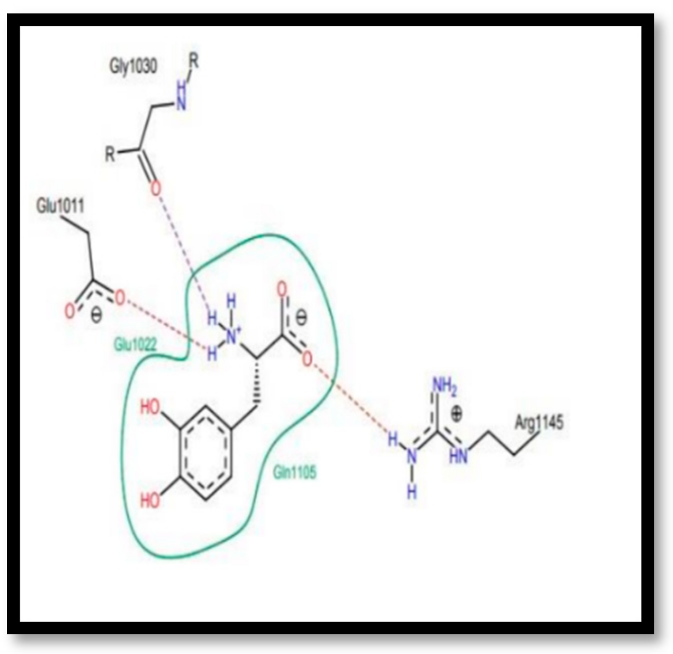 Chemproc 14 00101 g004 Chemproc 14 00101 g004