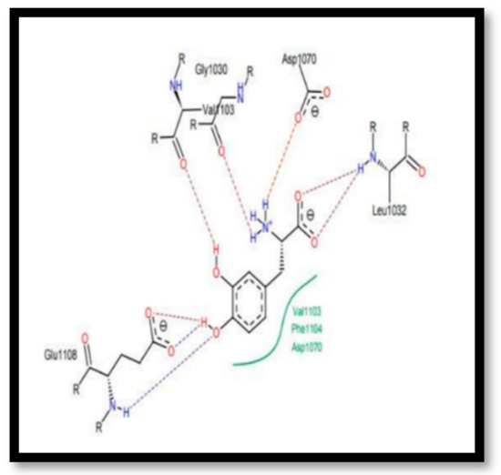 Chemproc 14 00101 g005