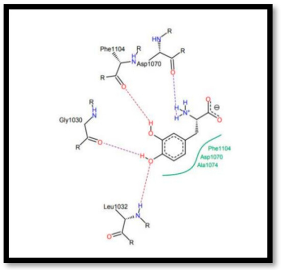 Chemproc 14 00101 g006