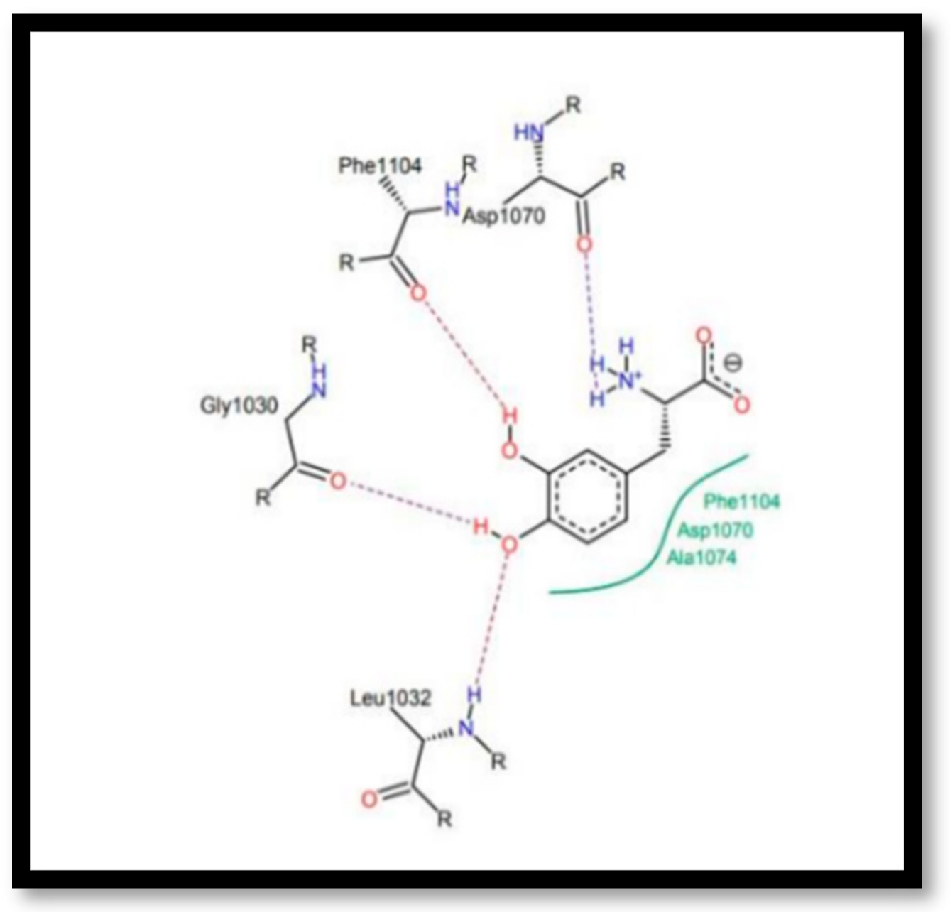 Chemproc 14 00101 g006 Chemproc 14 00101 g006