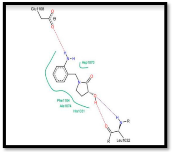 Chemproc 14 00101 g008