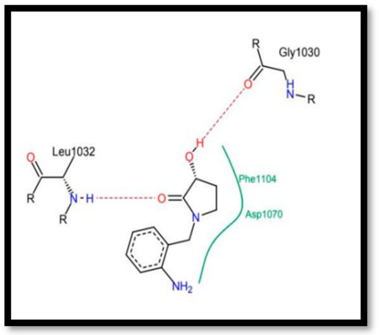 Chemproc 14 00101 g009