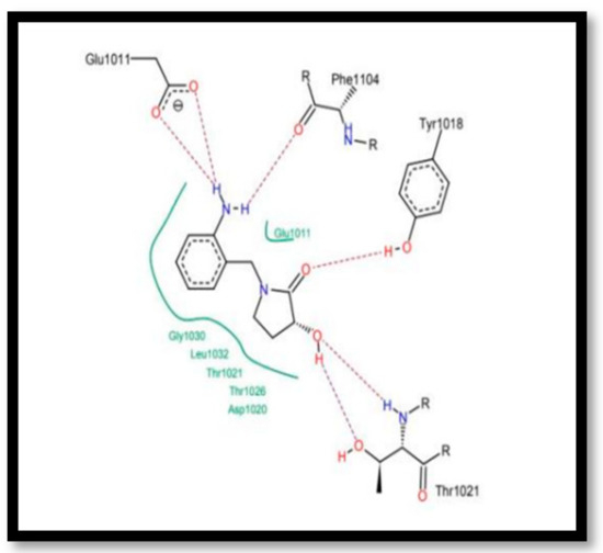 Chemproc 14 00101 g010