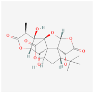 Chemproc 14 00101 i007 Chemproc 14 00101 i007
