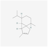 Chemproc 14 00101 i009 Chemproc 14 00101 i009