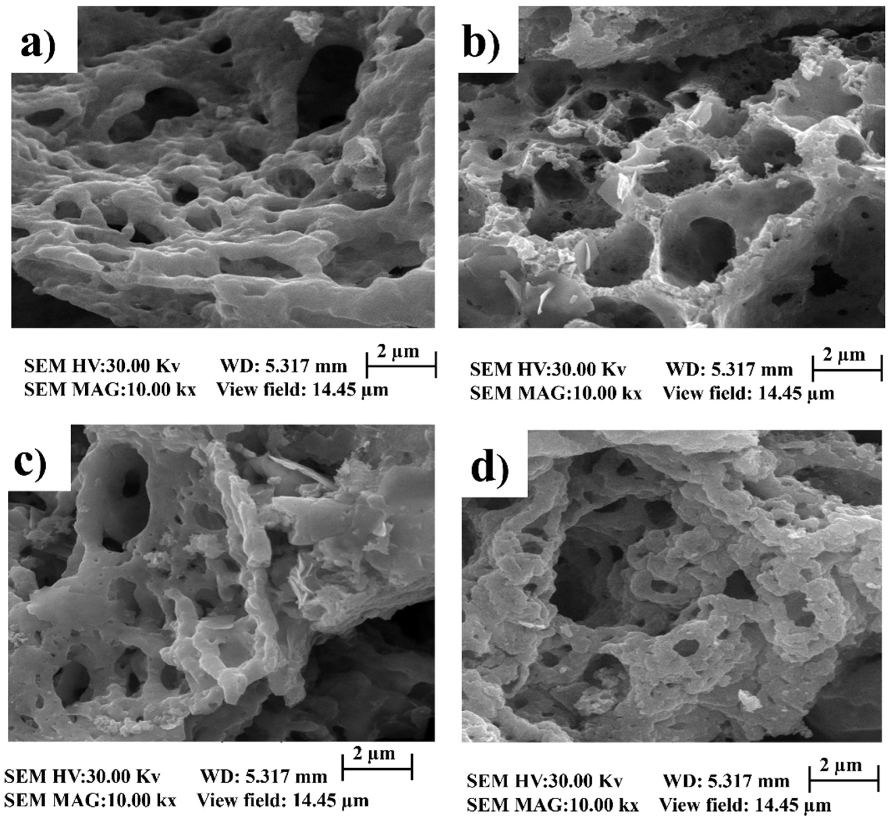 Chemproc 14 00104 g003