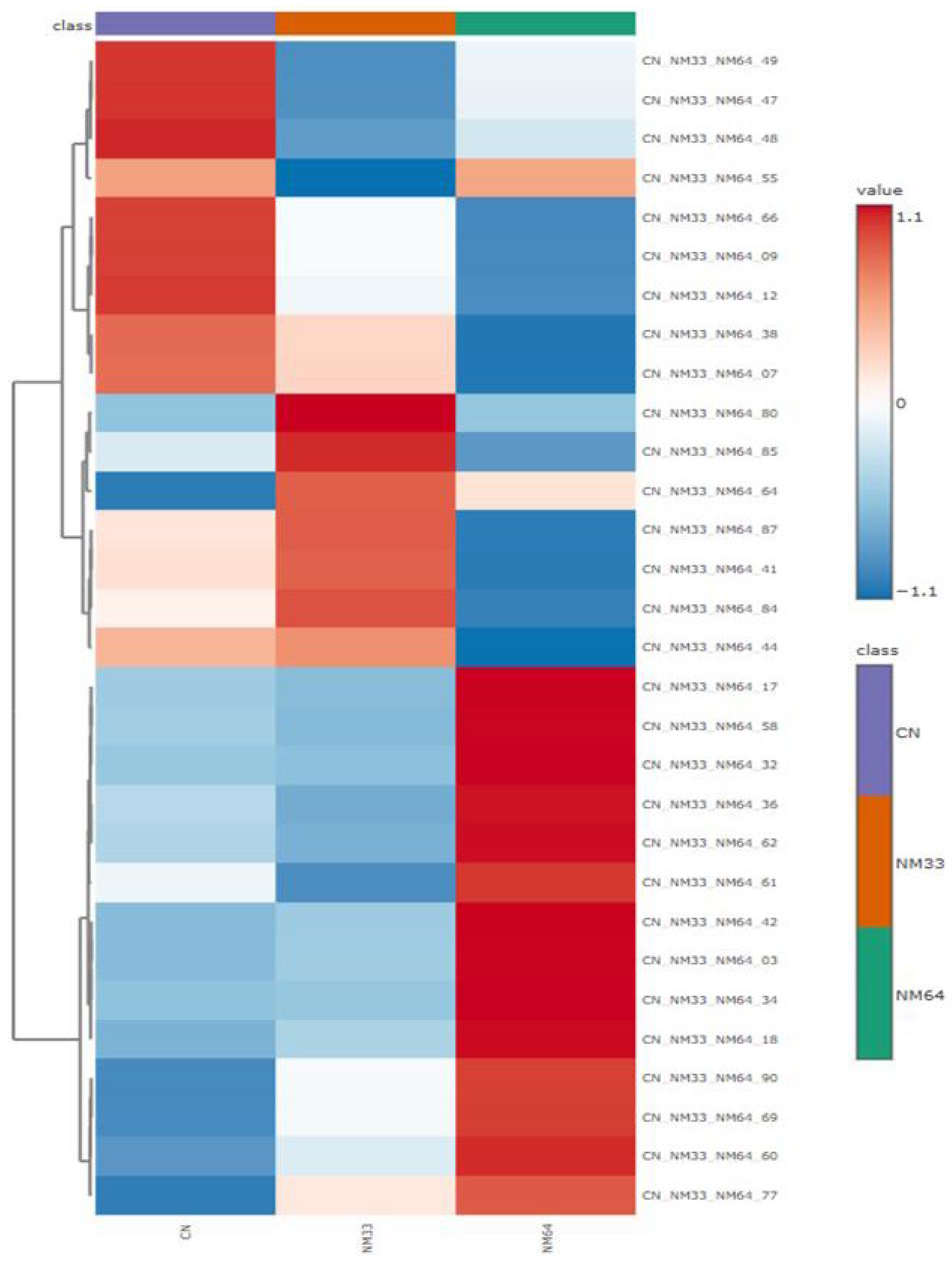 Chemproc 16 00015 g004