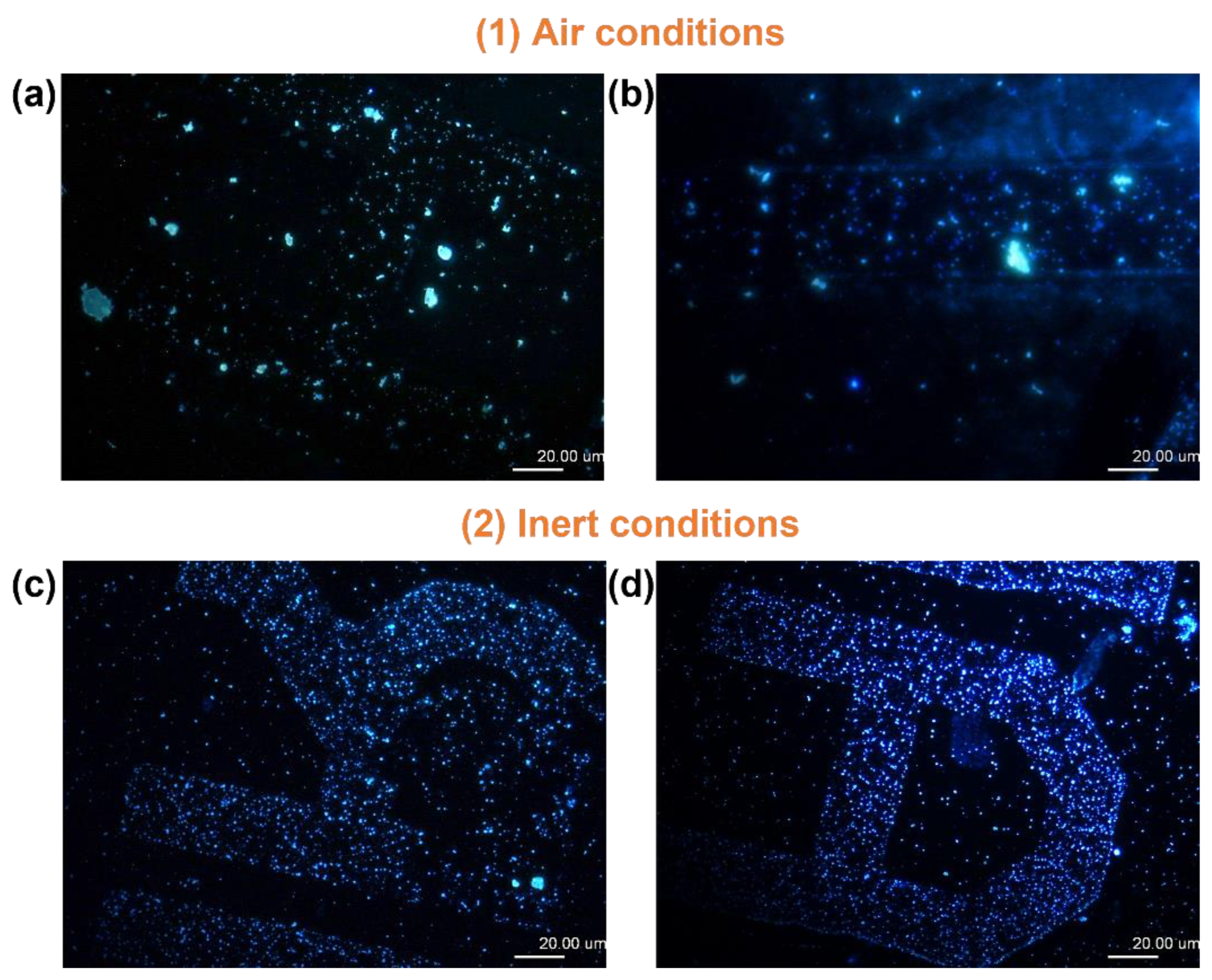 Chemproc 16 00021 g002