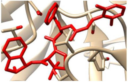 Chemproc 16 00042 i001