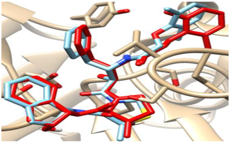 Chemproc 16 00042 i002