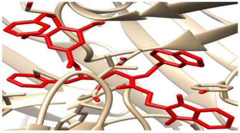 Chemproc 16 00042 i003