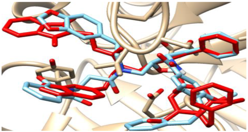 Chemproc 16 00042 i004