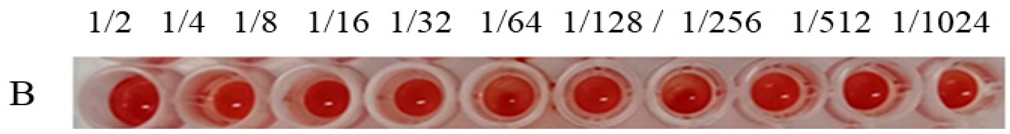 Chemproc 16 00075 g001