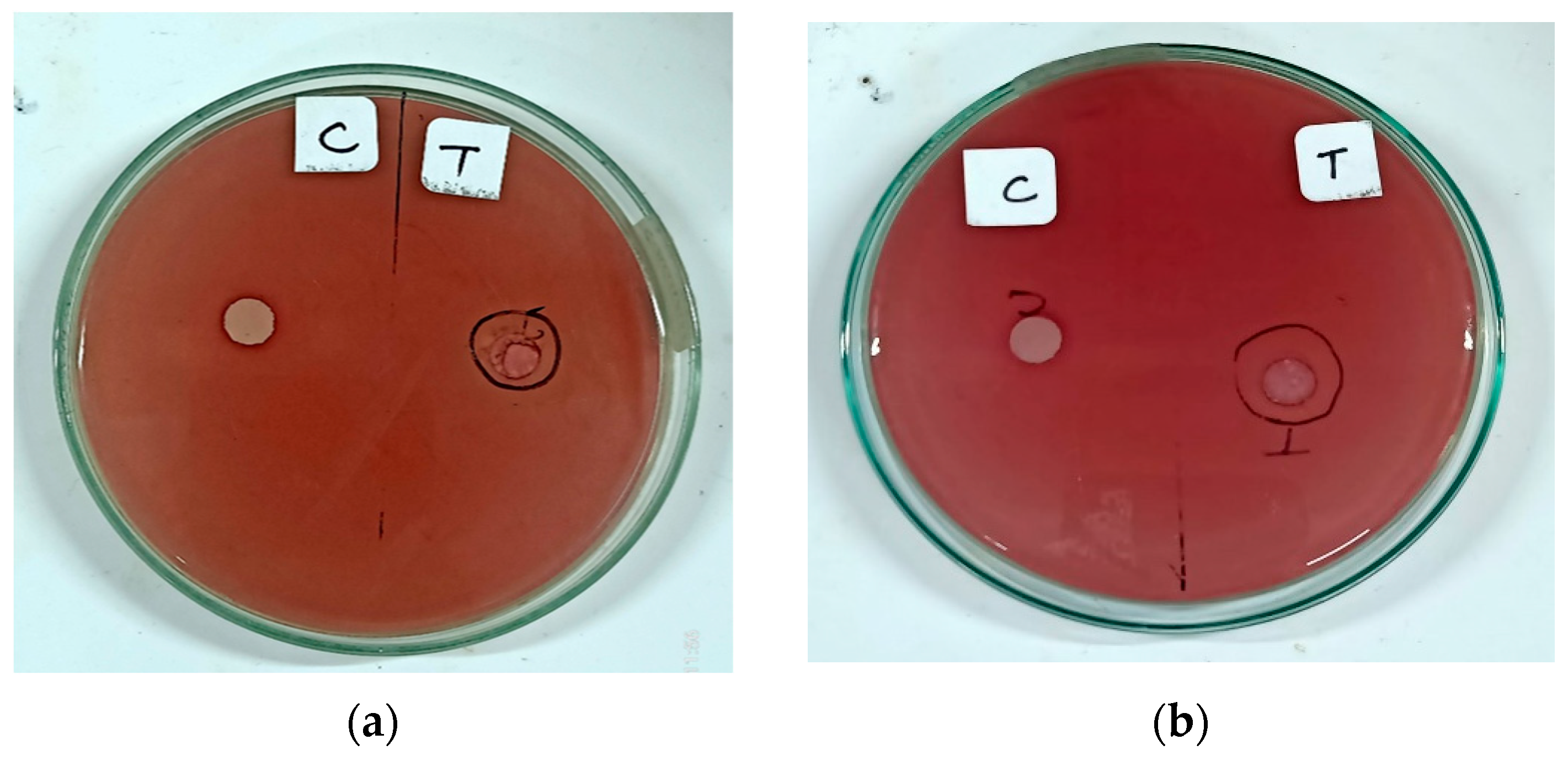 Chemproc 16 00075 g003