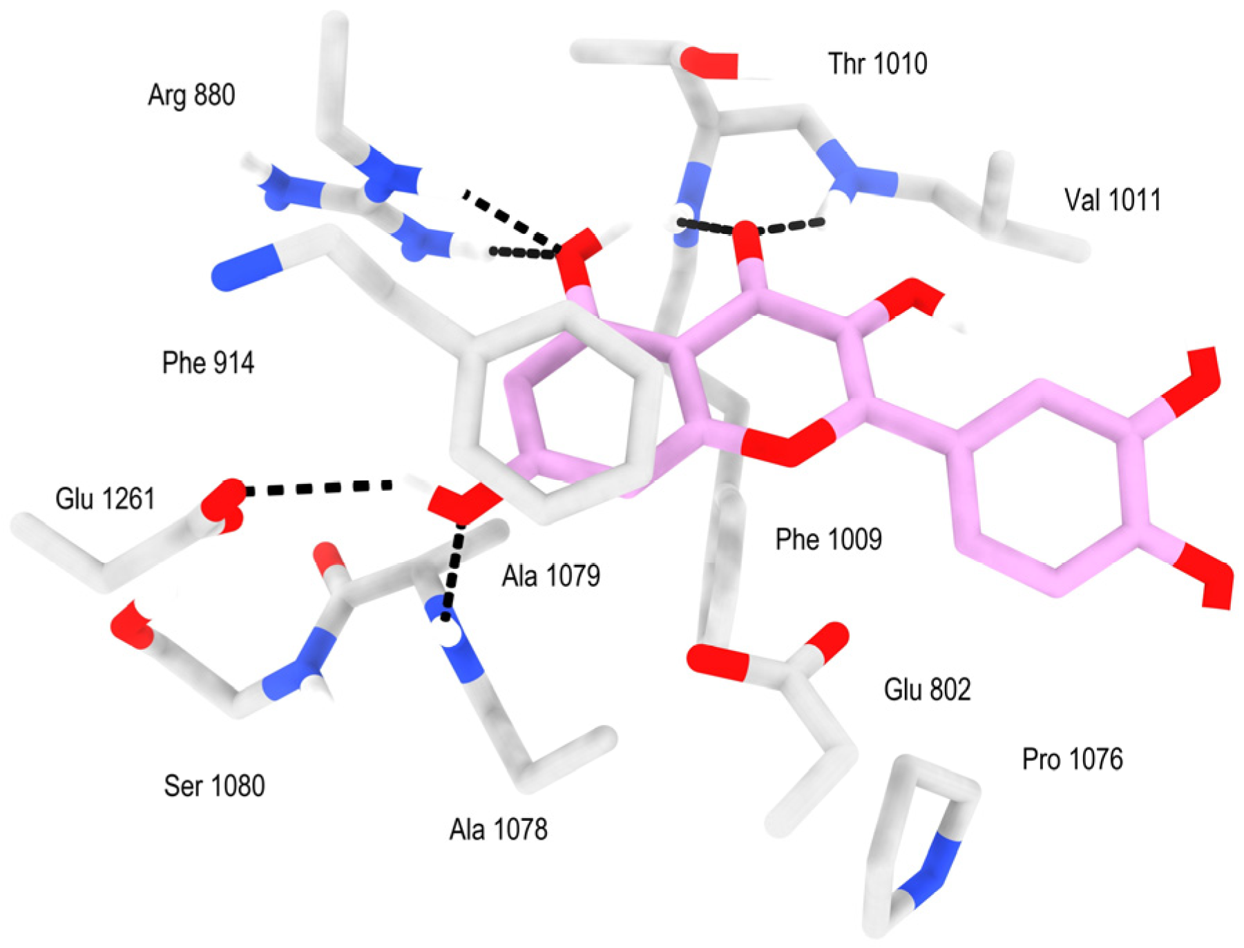Chemproc 16 00116 g001