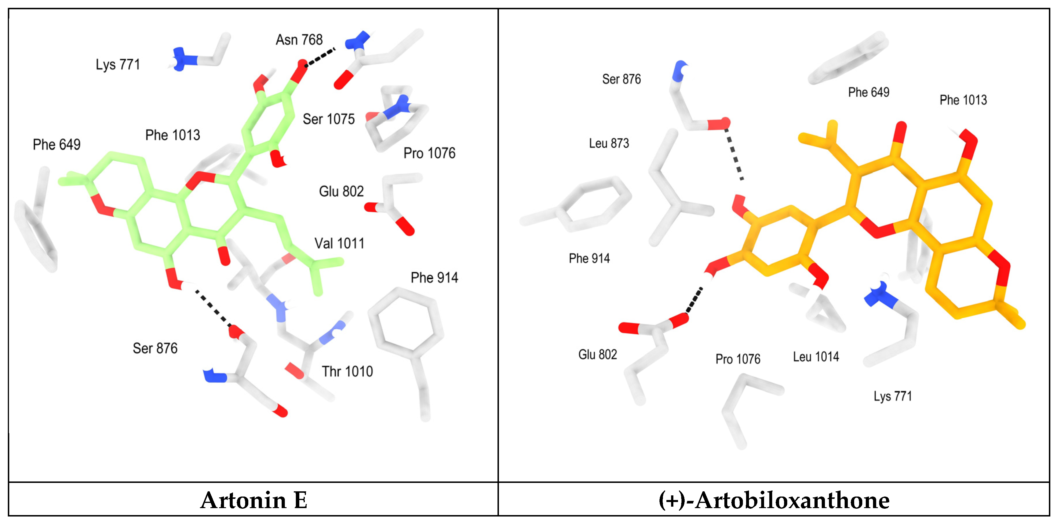 Chemproc 16 00116 g002