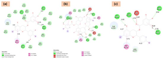 Chemproc 18 00089 g001