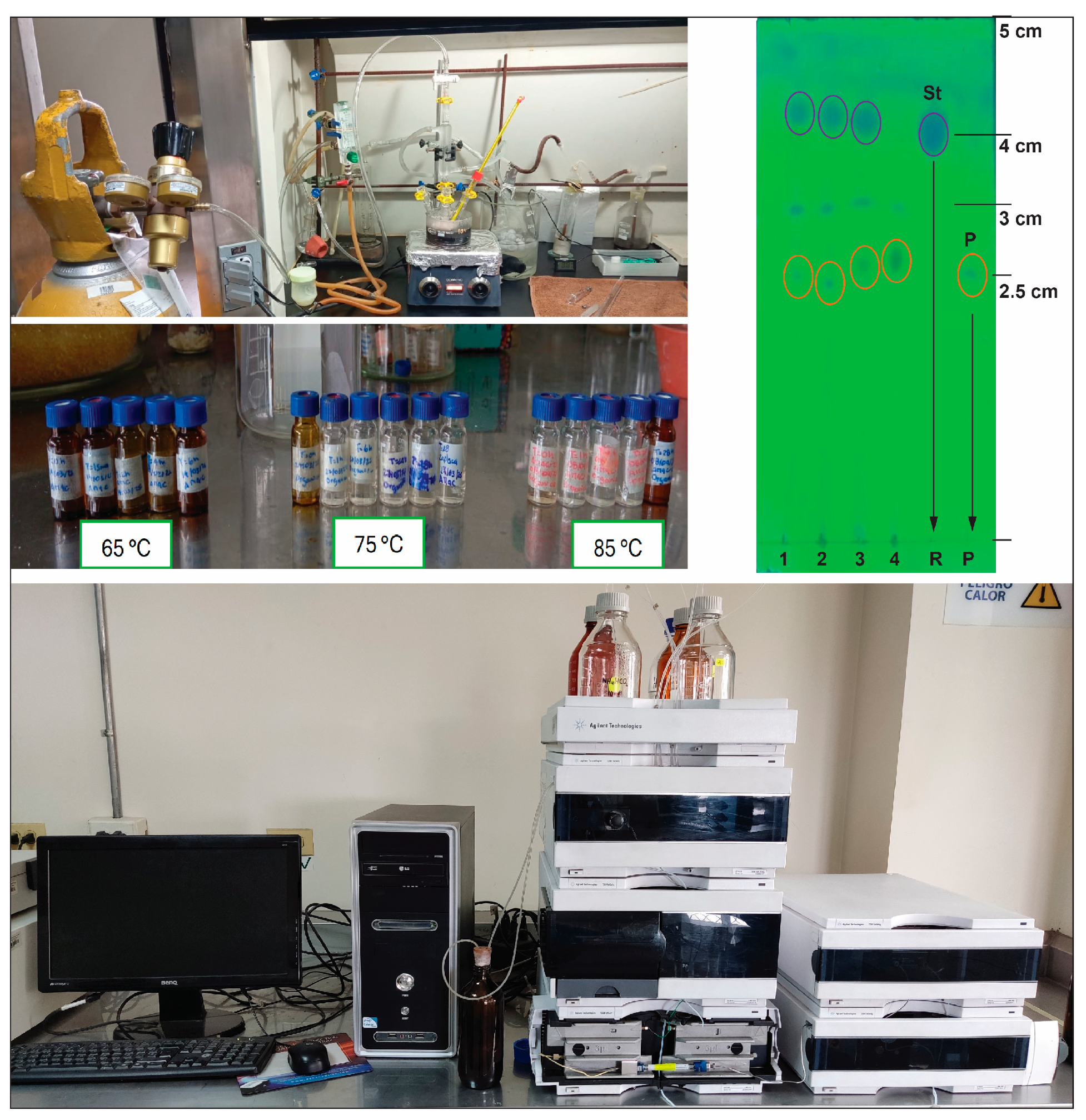 Chemproc 18 00100 g002 Chemproc 18 00100 g002