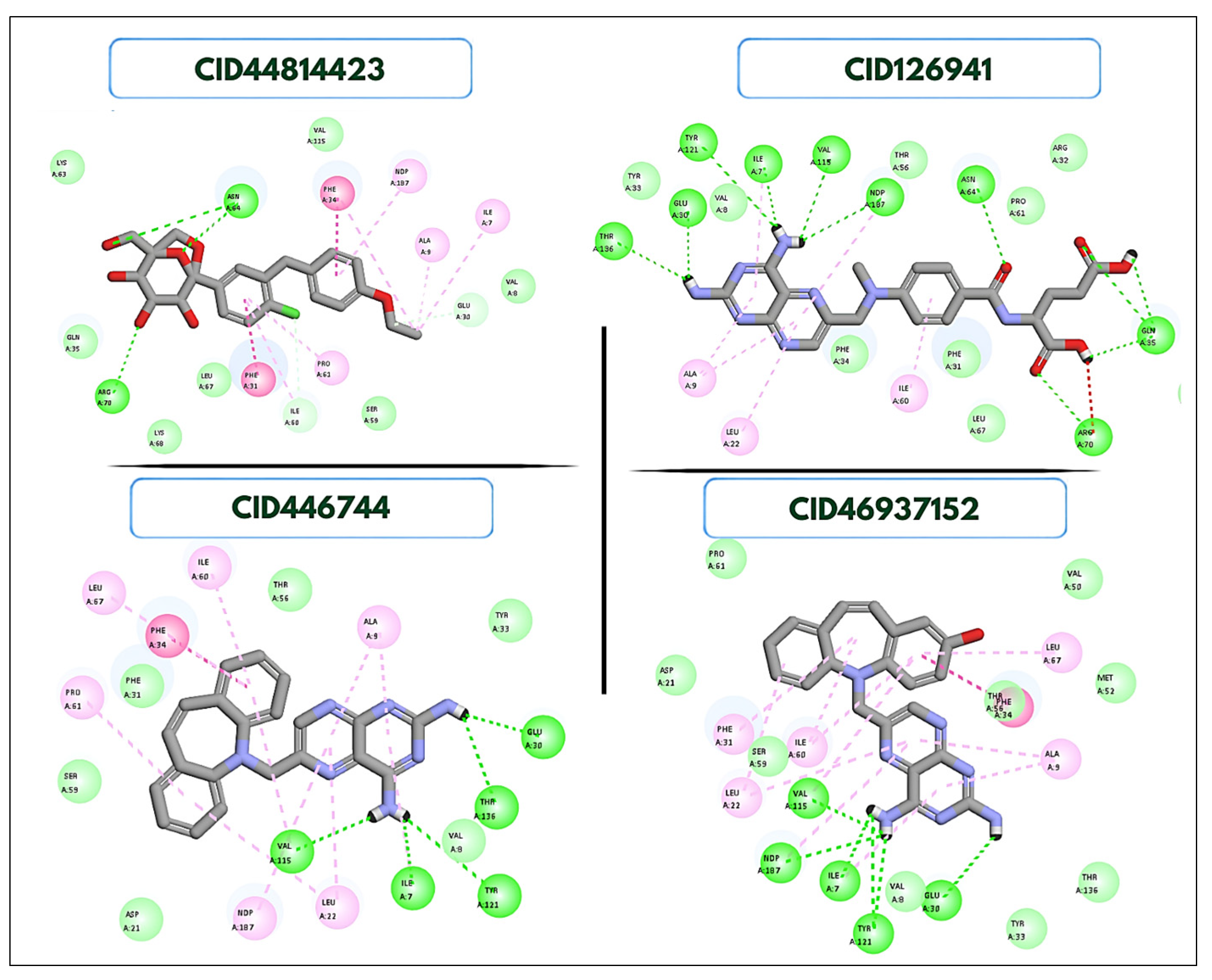 Chemproc 22 00023 g003 Chemproc 22 00023 g003