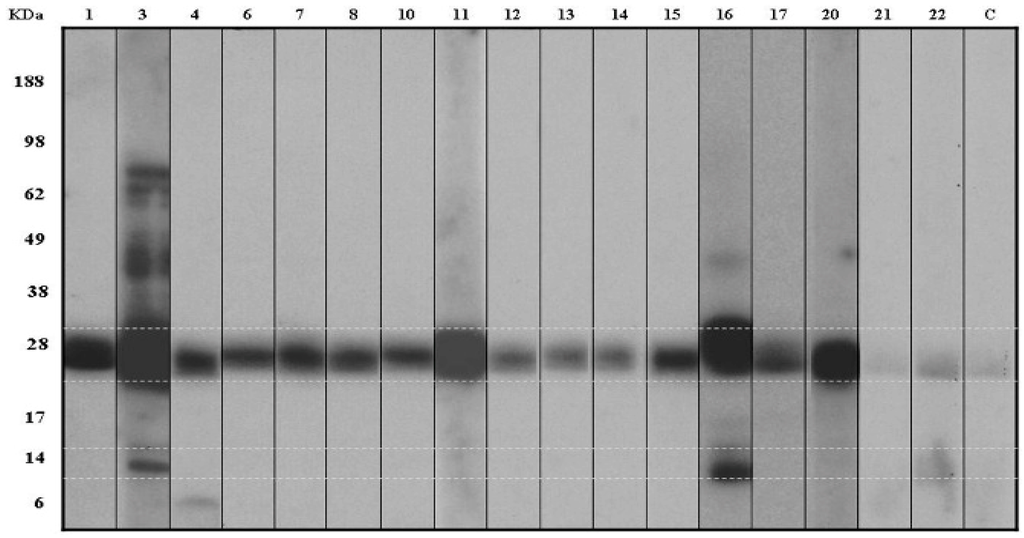 Children 02 00424 g002 1024