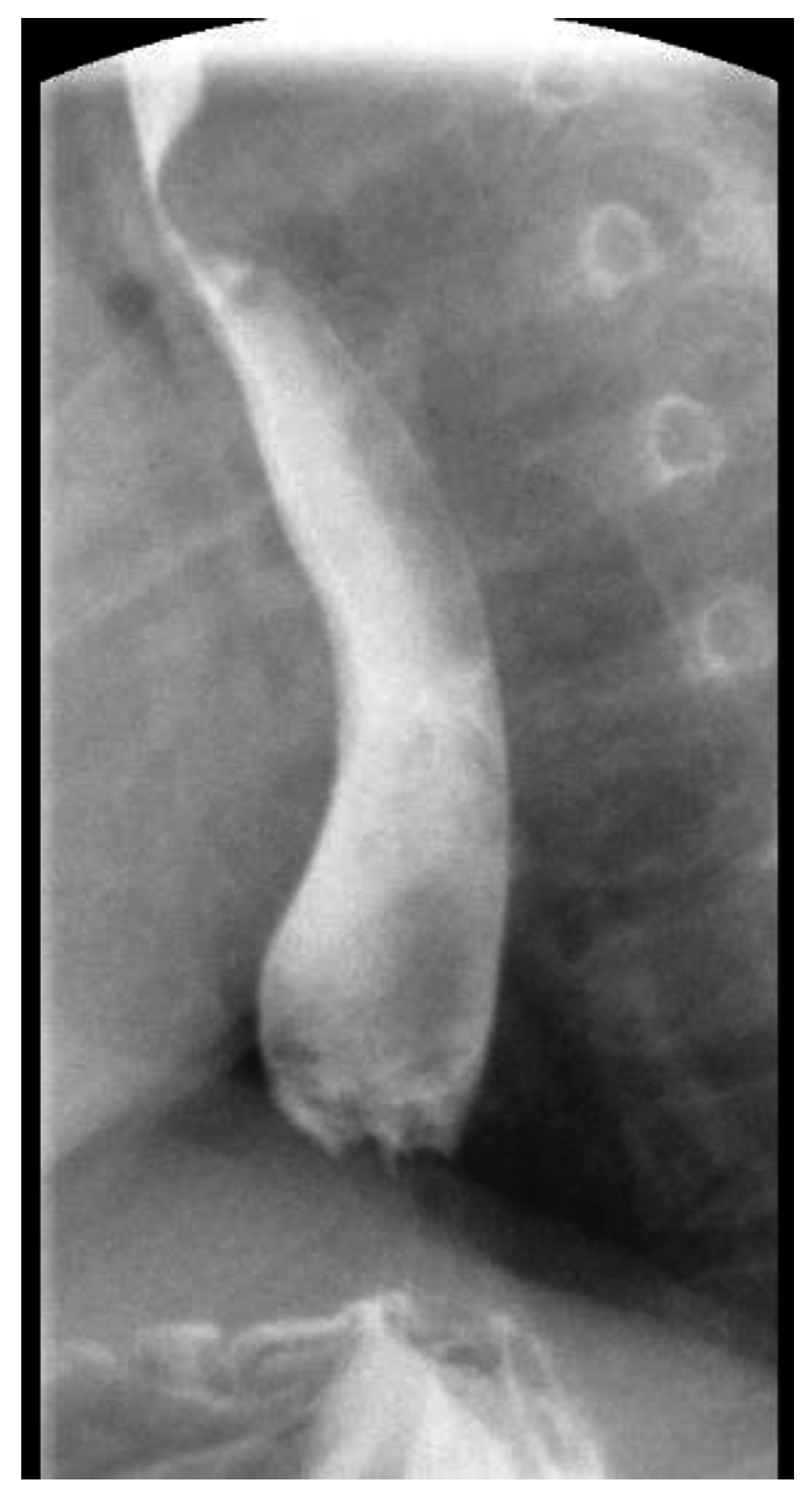 Children 03 00044 g002