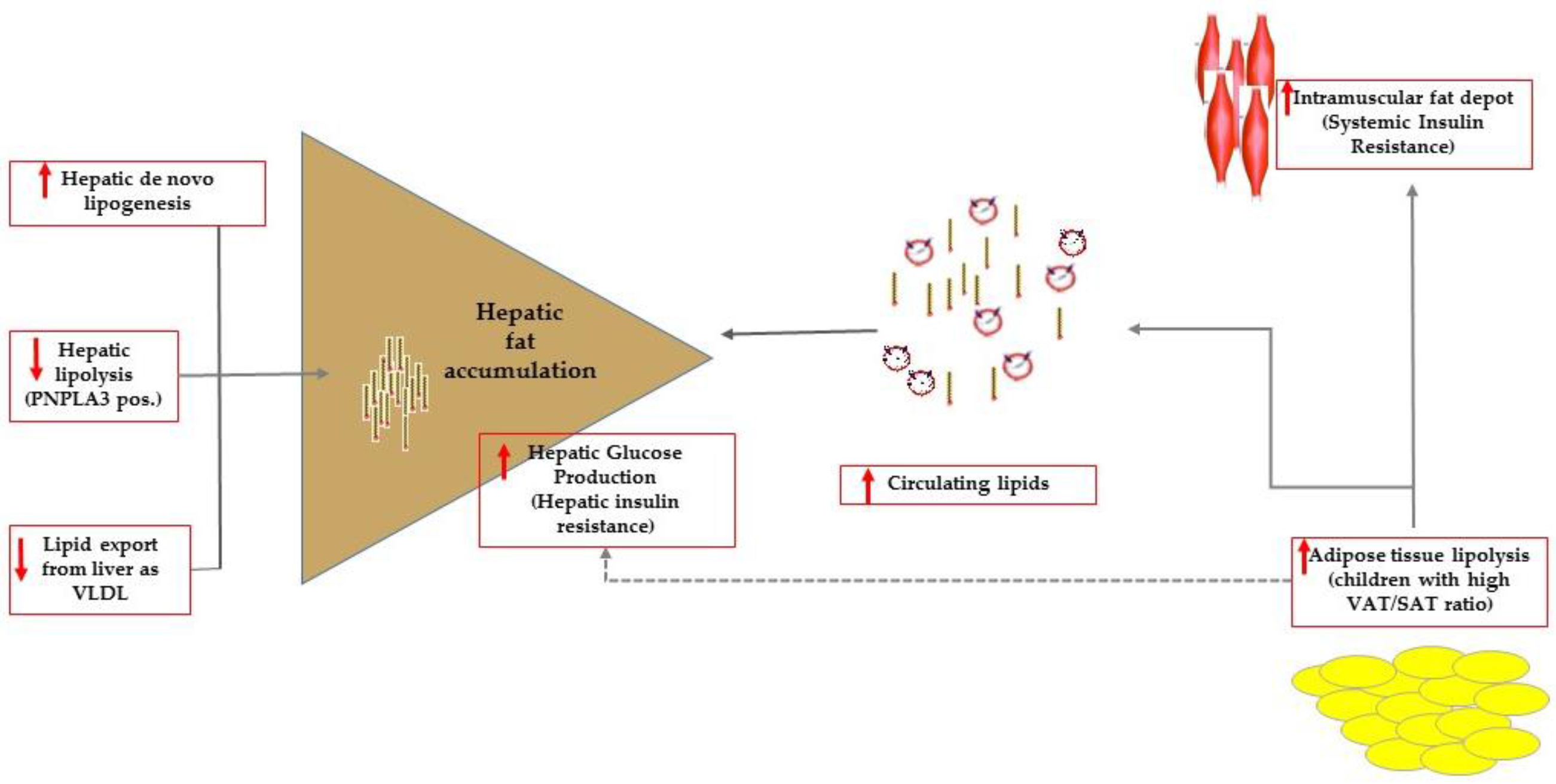 Children 04 00074 g001