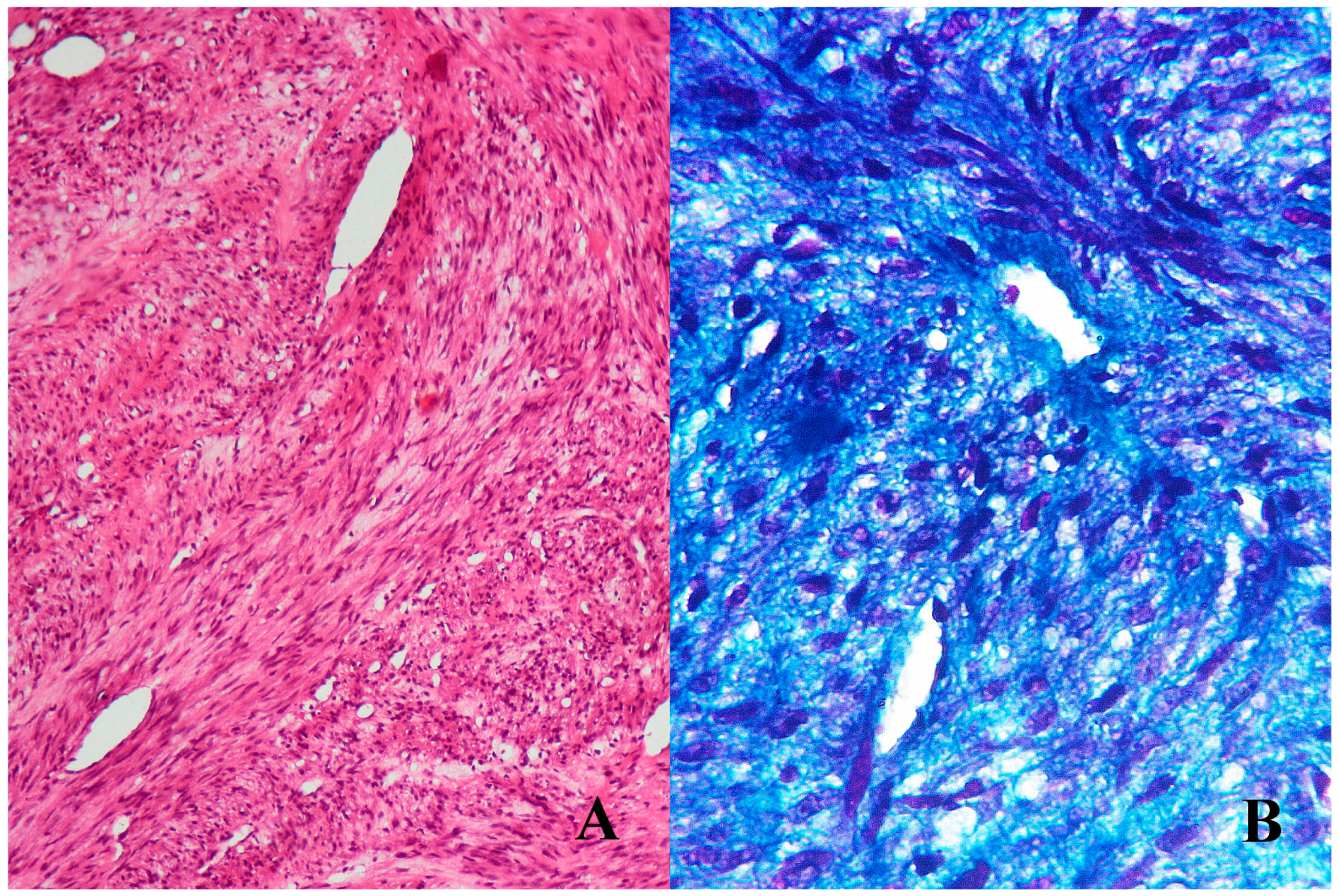 Children 04 00091 g002