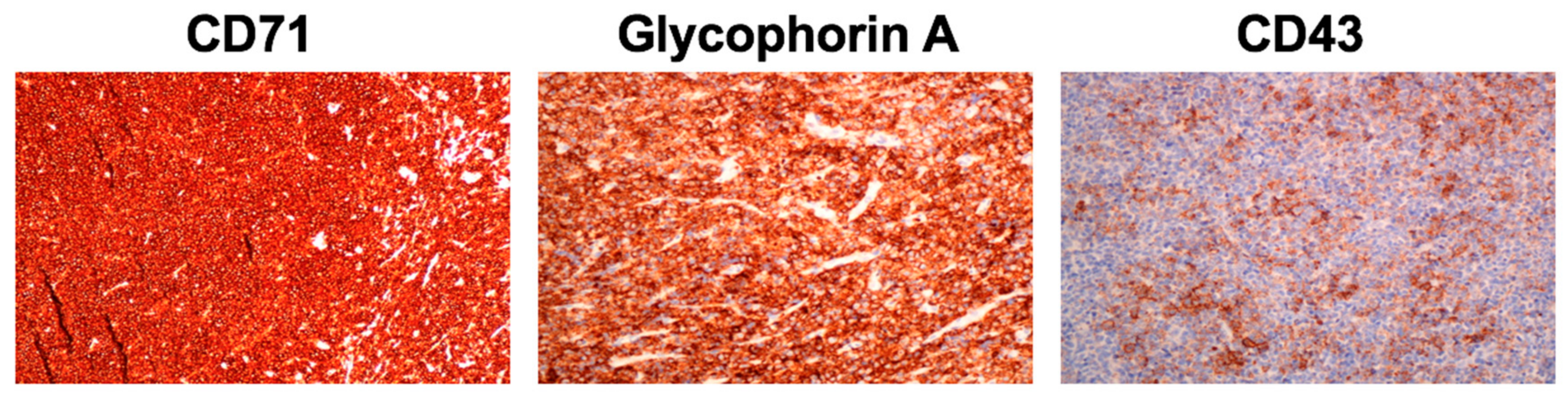 Children 04 00113 g003