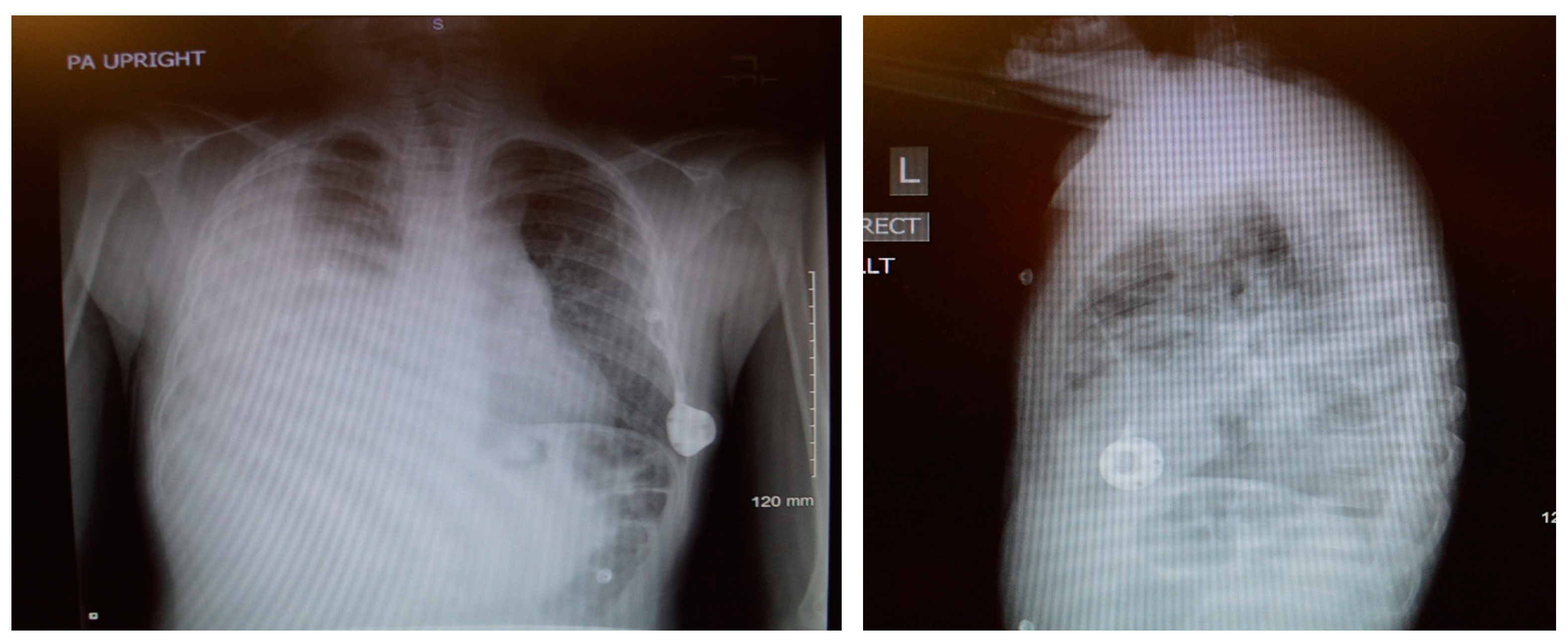 Children 05 00007 g001