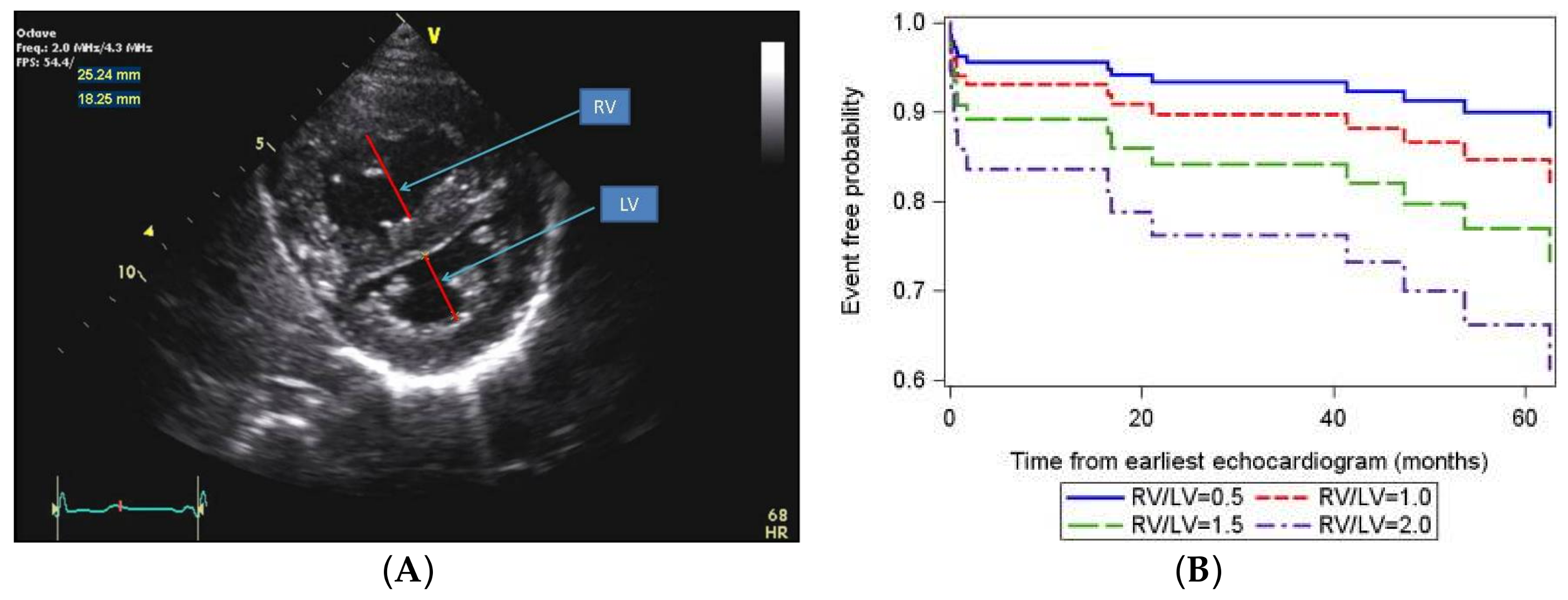 Children 05 00044 g006