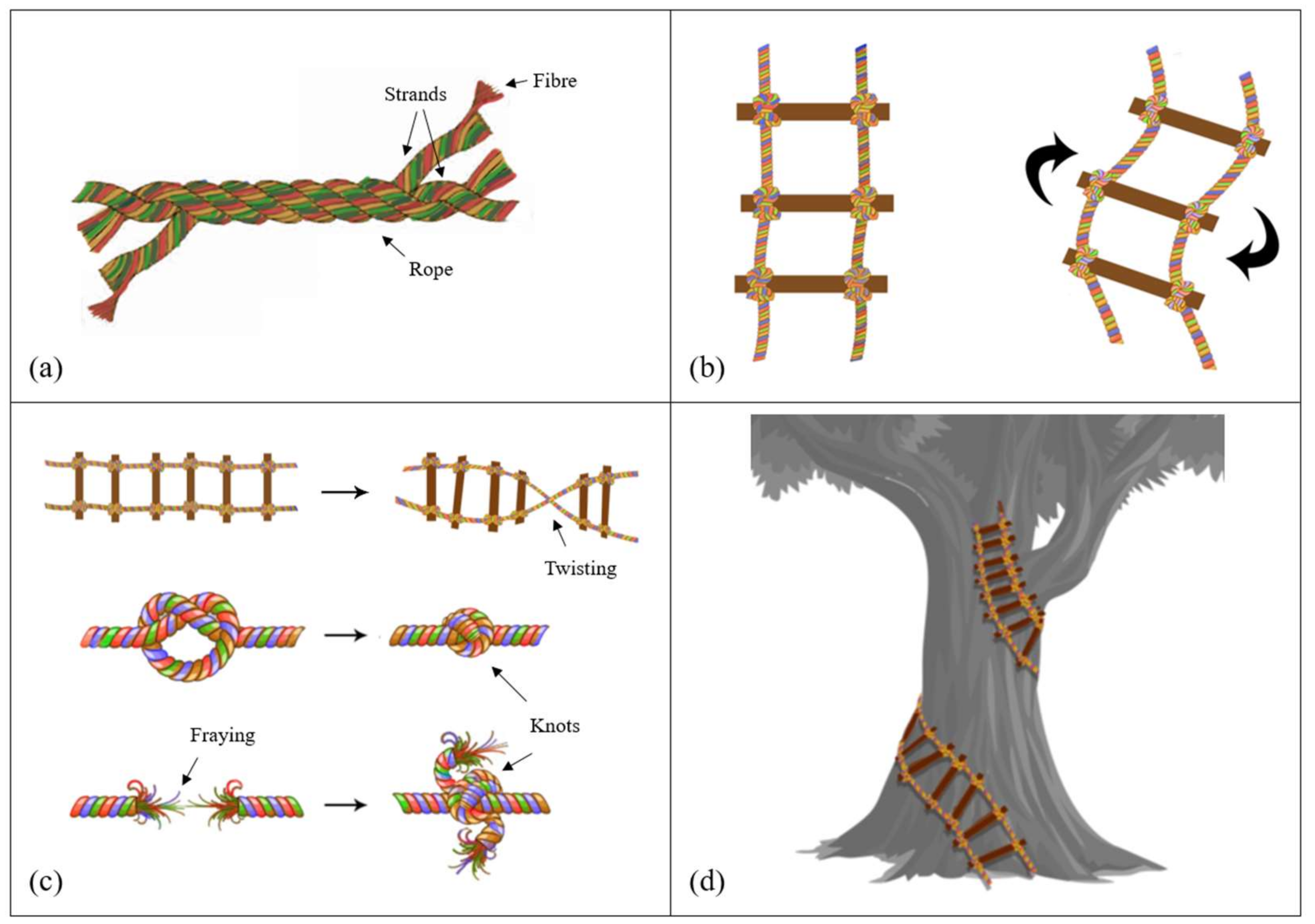 Children 06 00003 g002