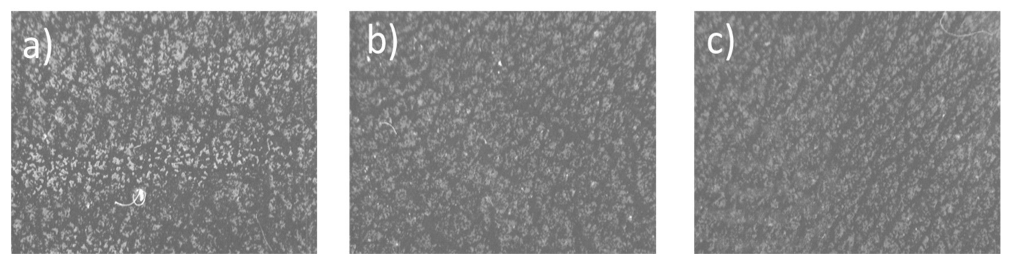 Children 06 00017 g002