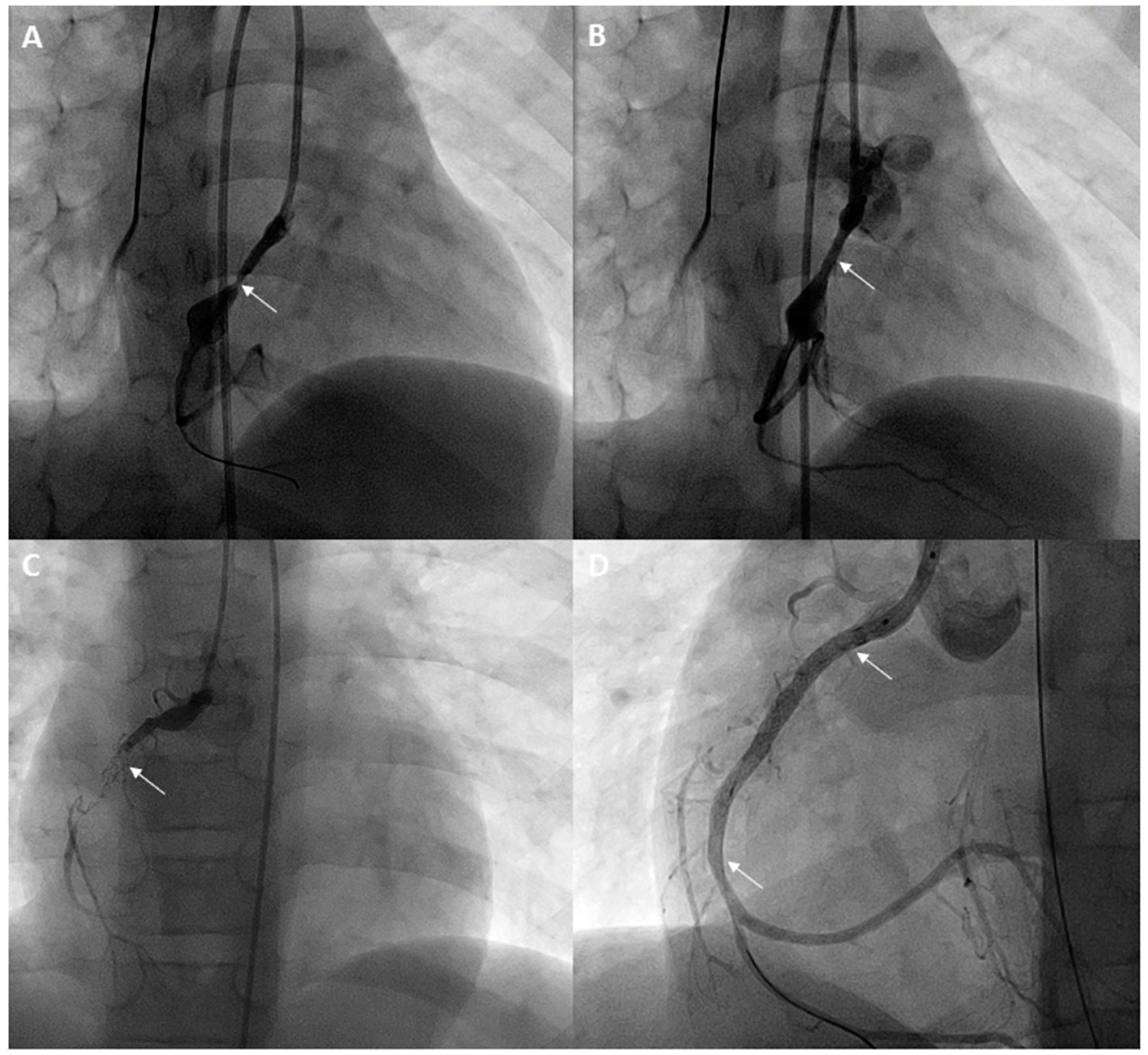 Children 06 00032 g001